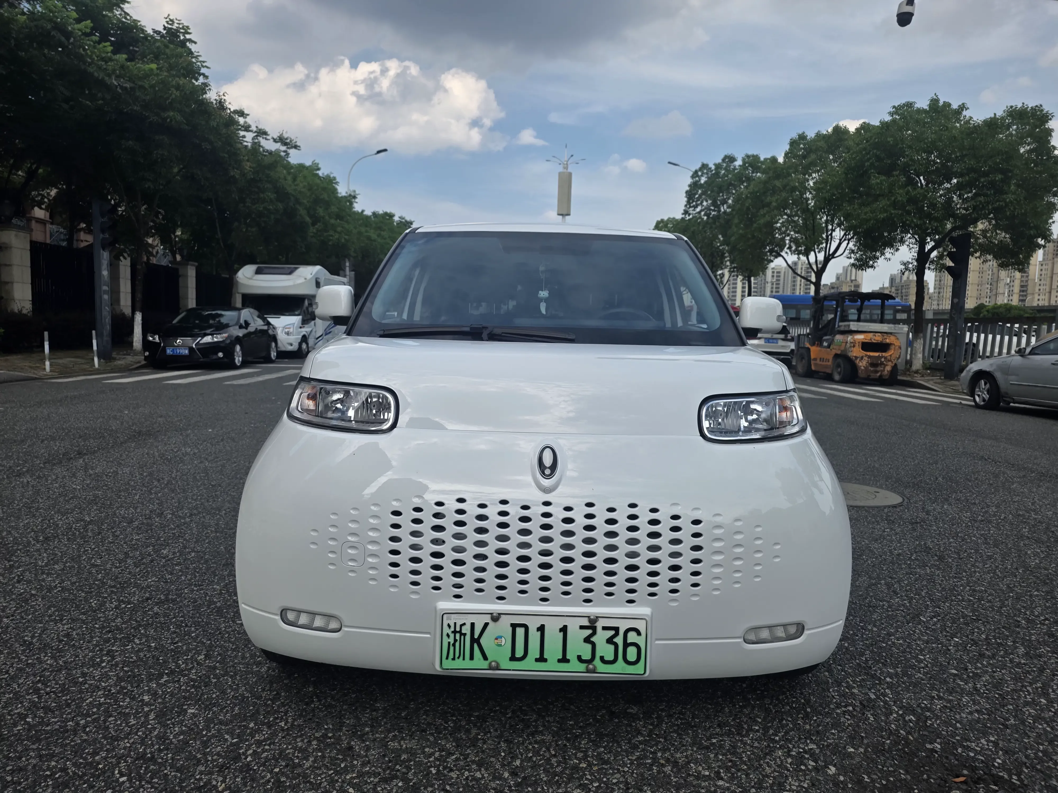 ORA Euler white cat
