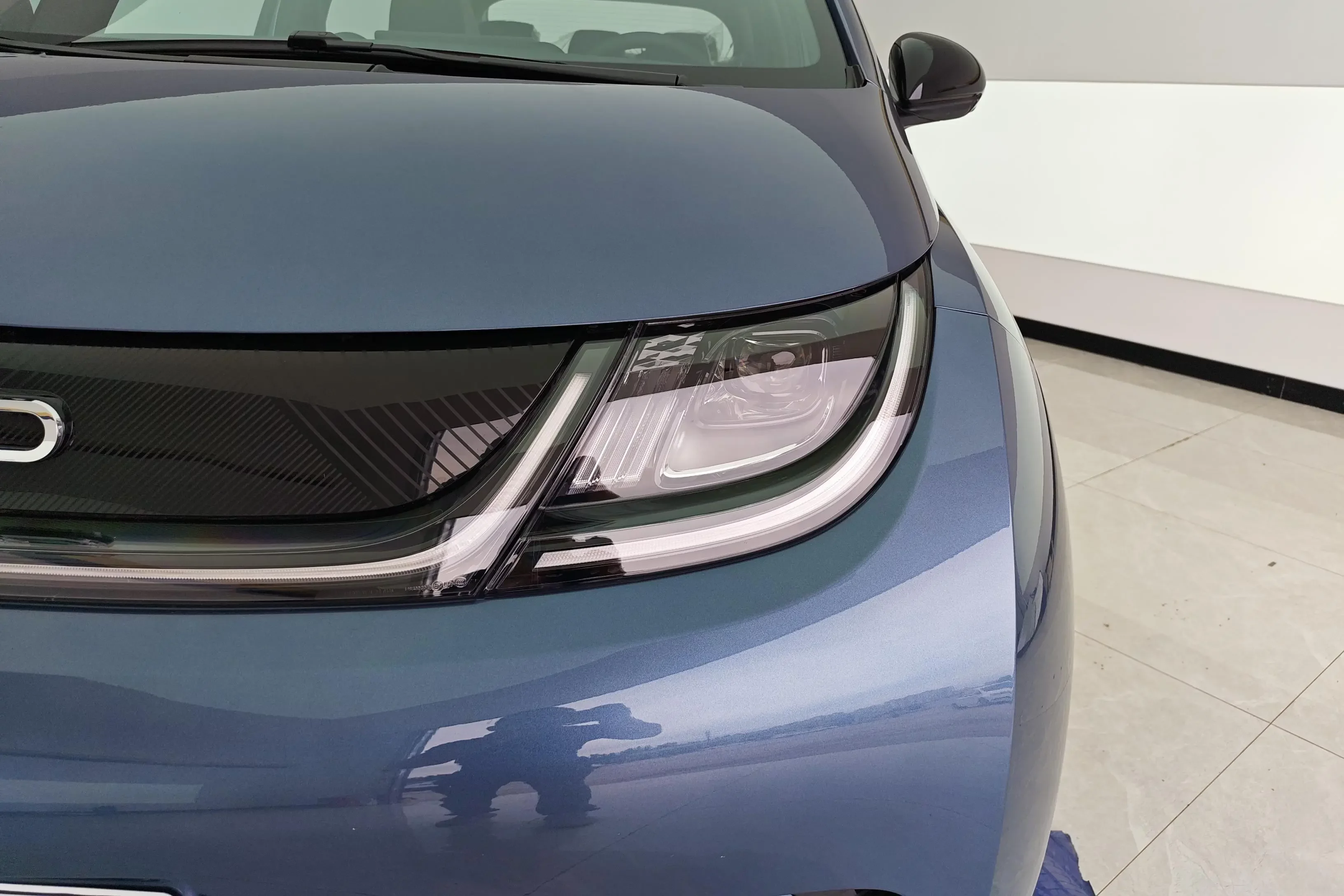 BYD dolphin