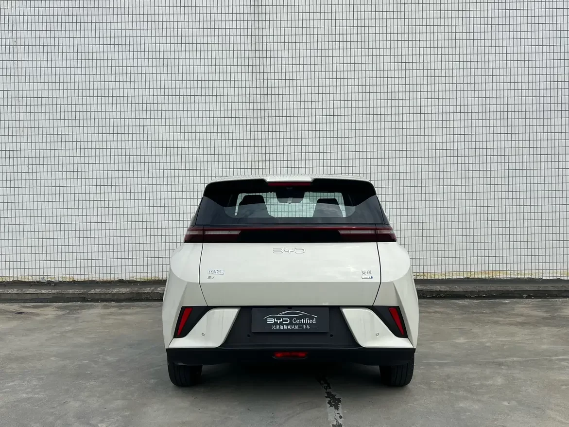 BYD seagull