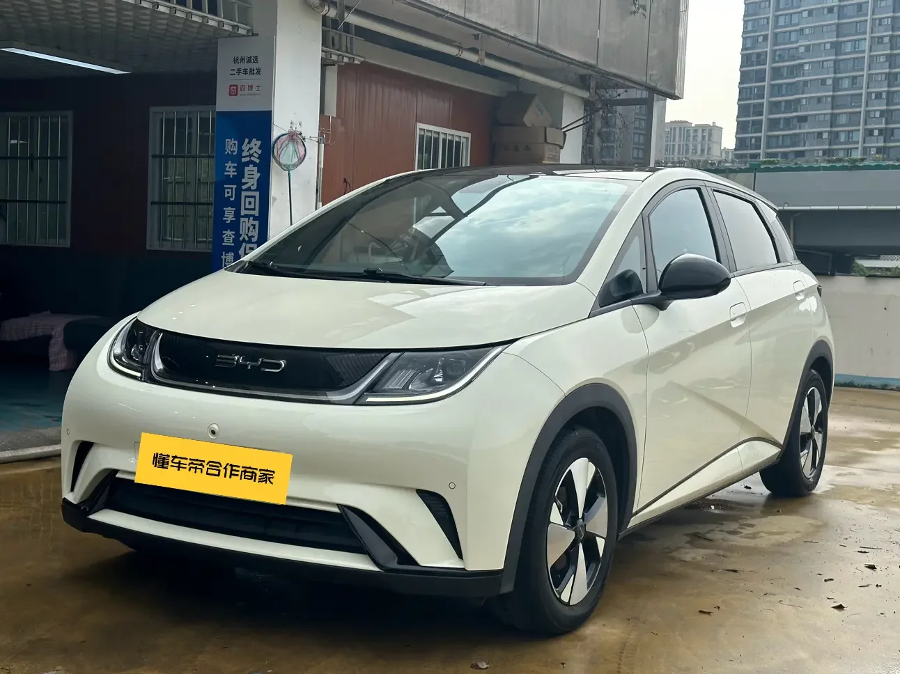 BYD dolphin