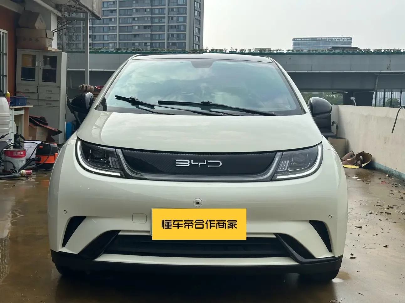 BYD dolphin