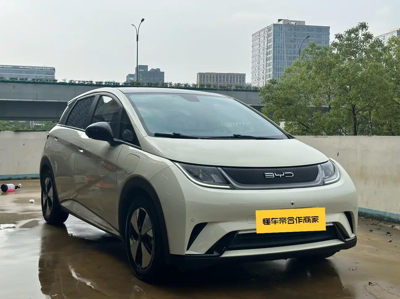 BYD dolphin