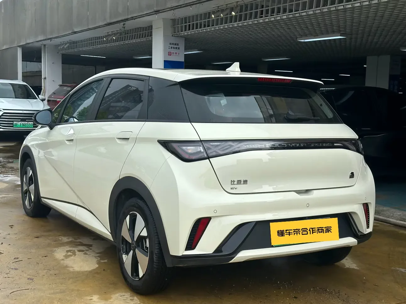 BYD dolphin
