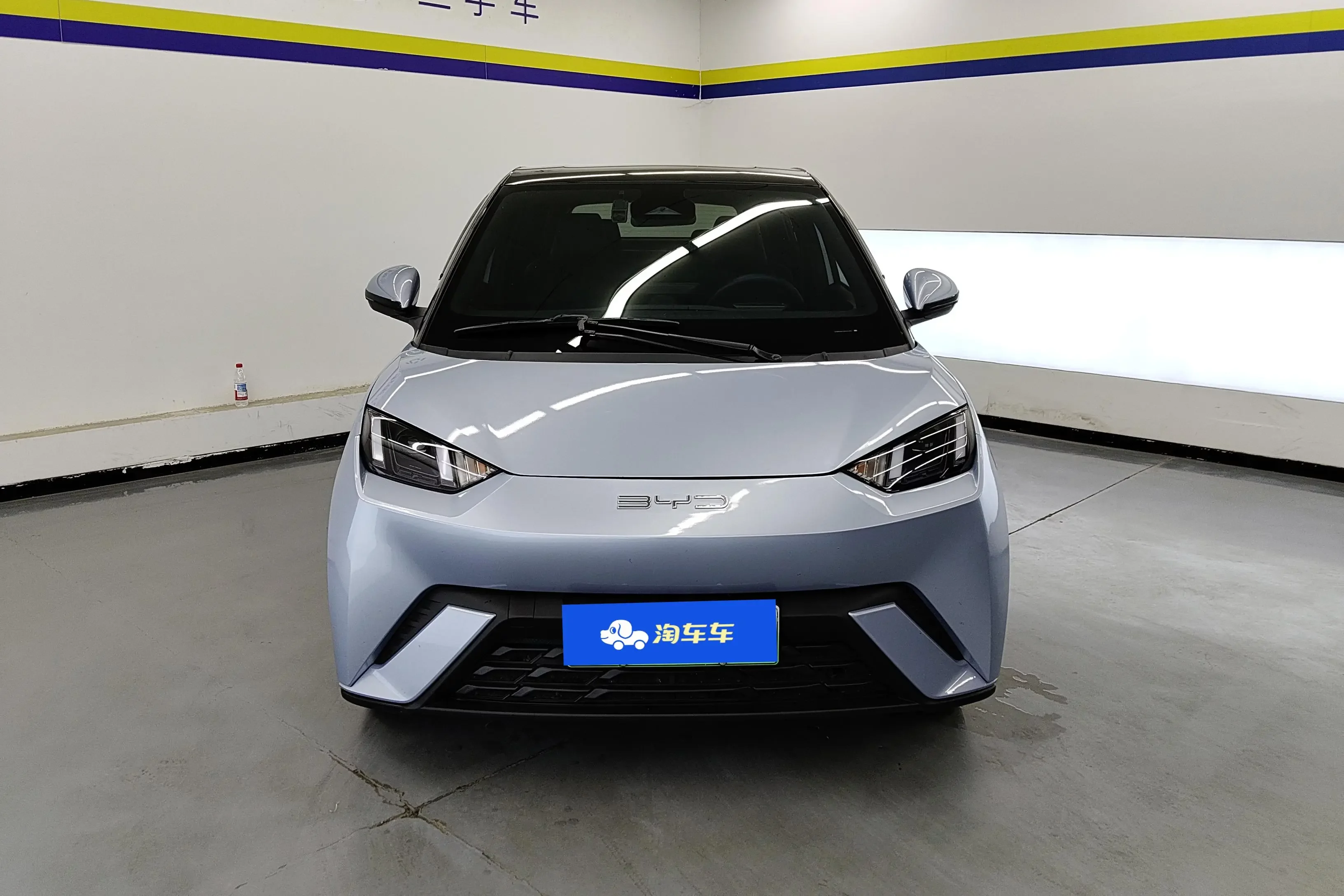 BYD seagull