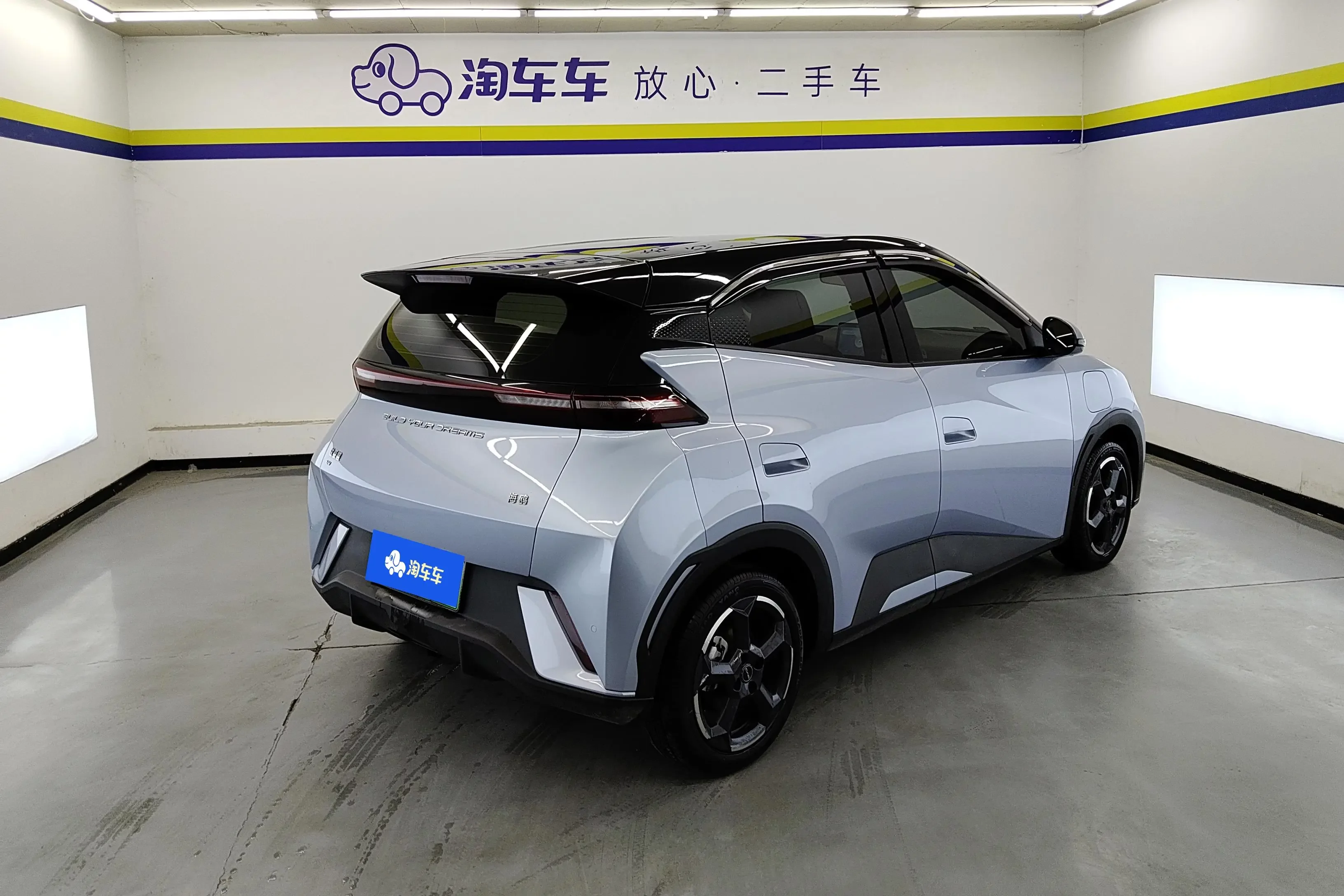 BYD seagull