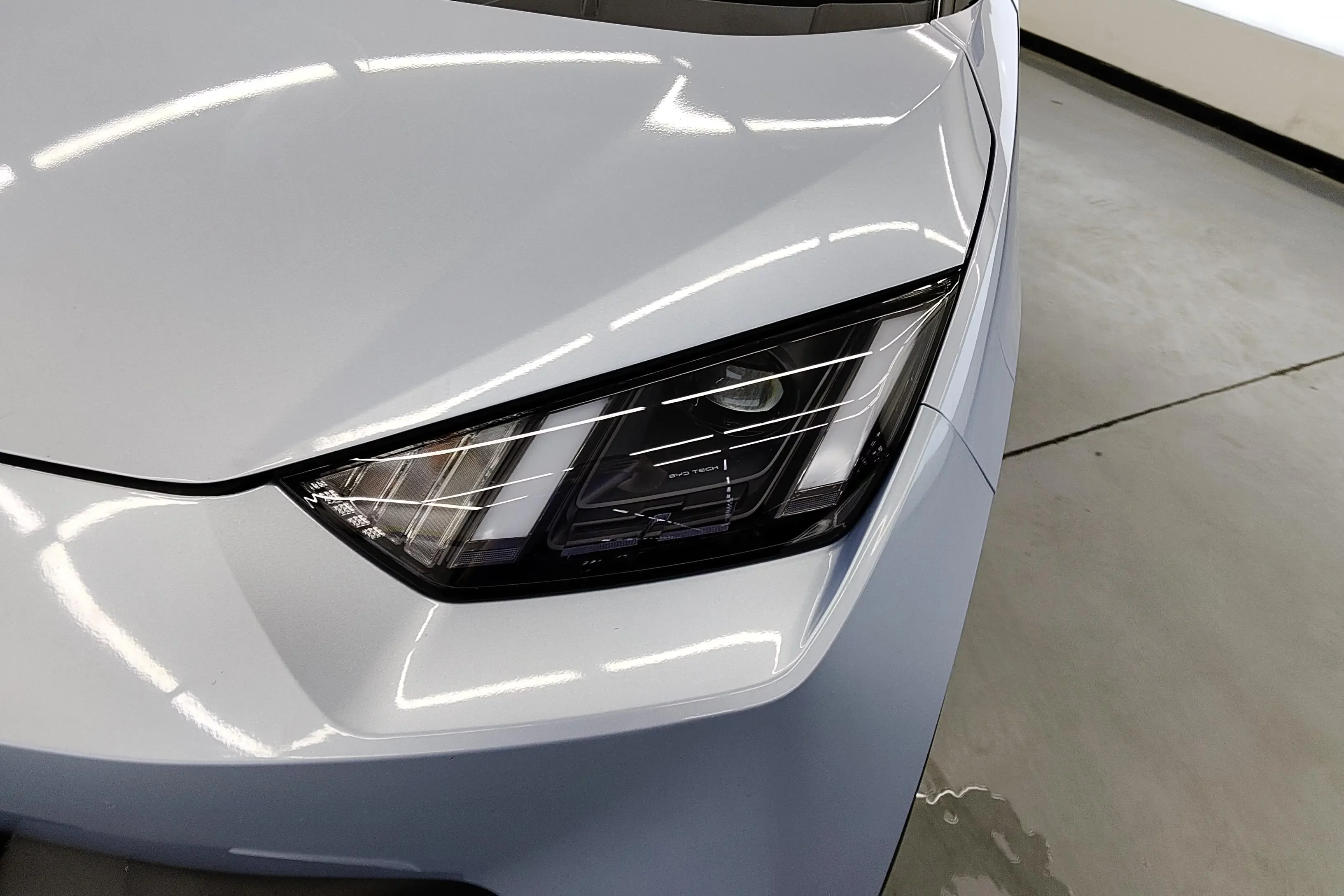 BYD seagull