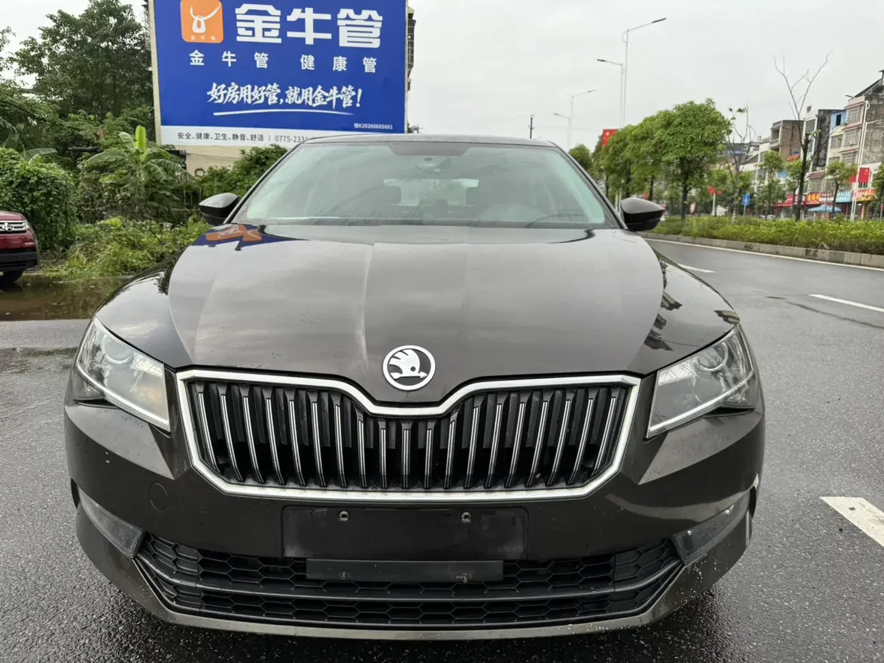 Skoda Speedy