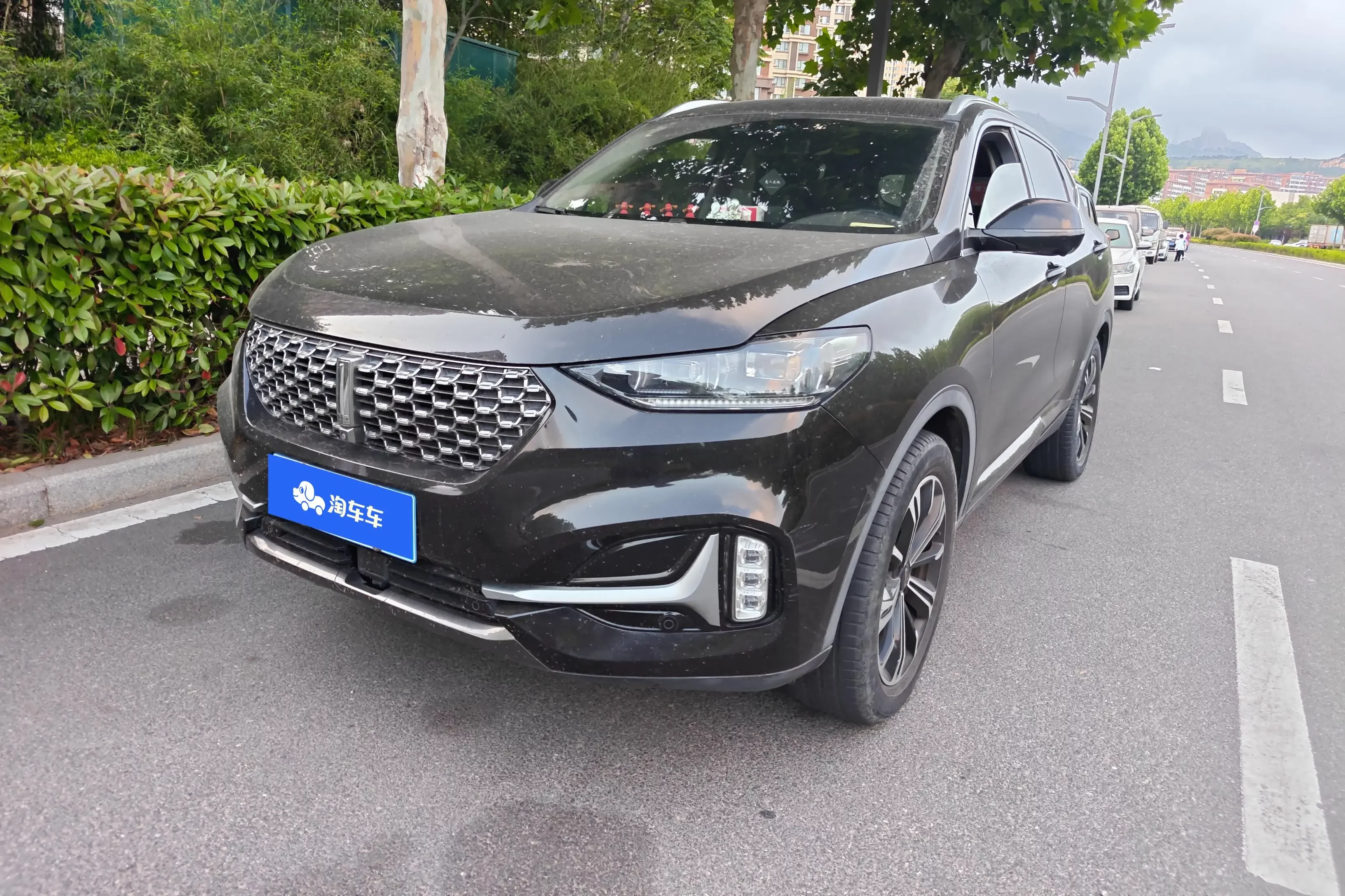 Wey Wei brand VV6