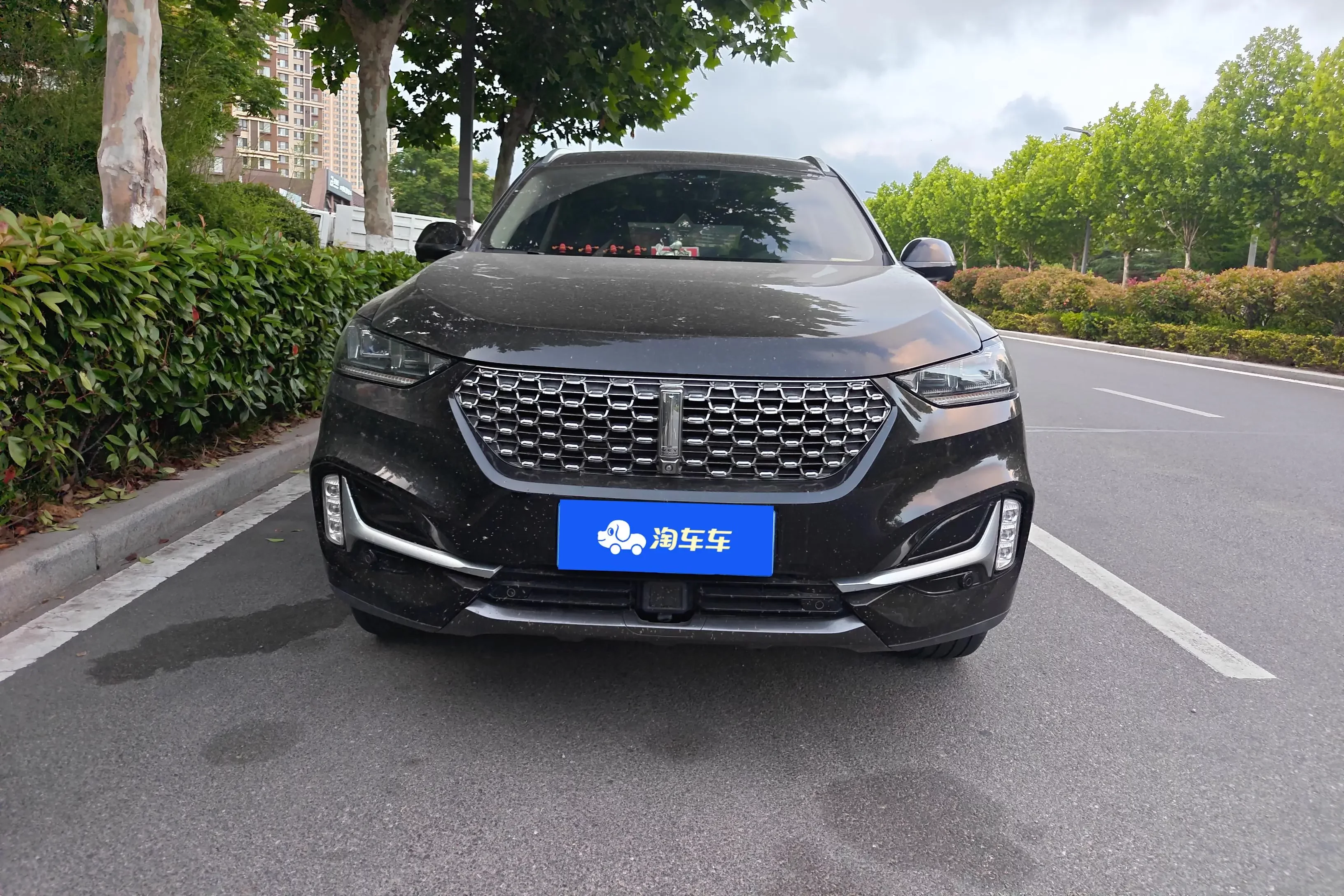 Wey Wei brand VV6