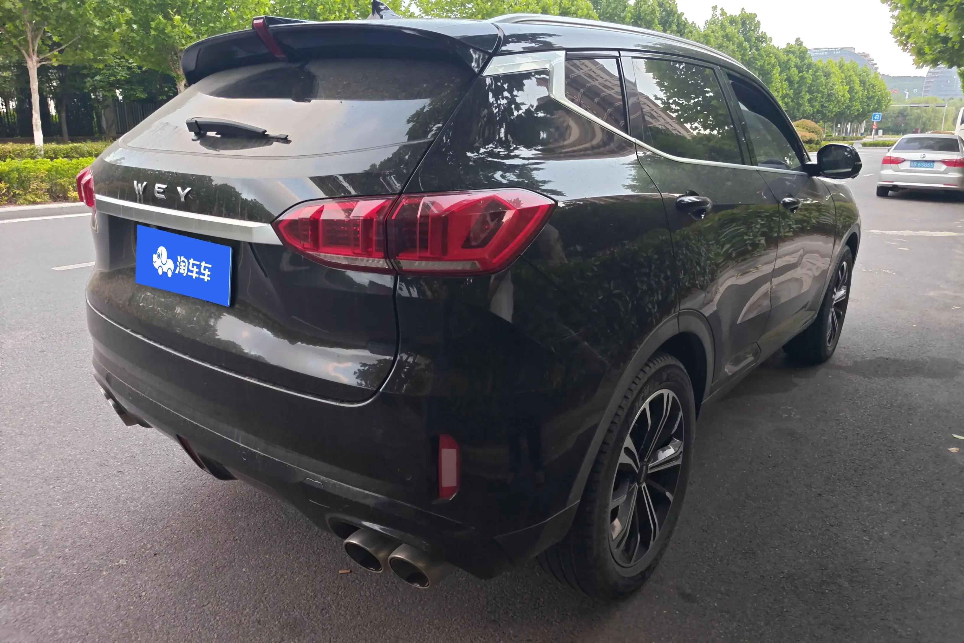 Wey Wei brand VV6