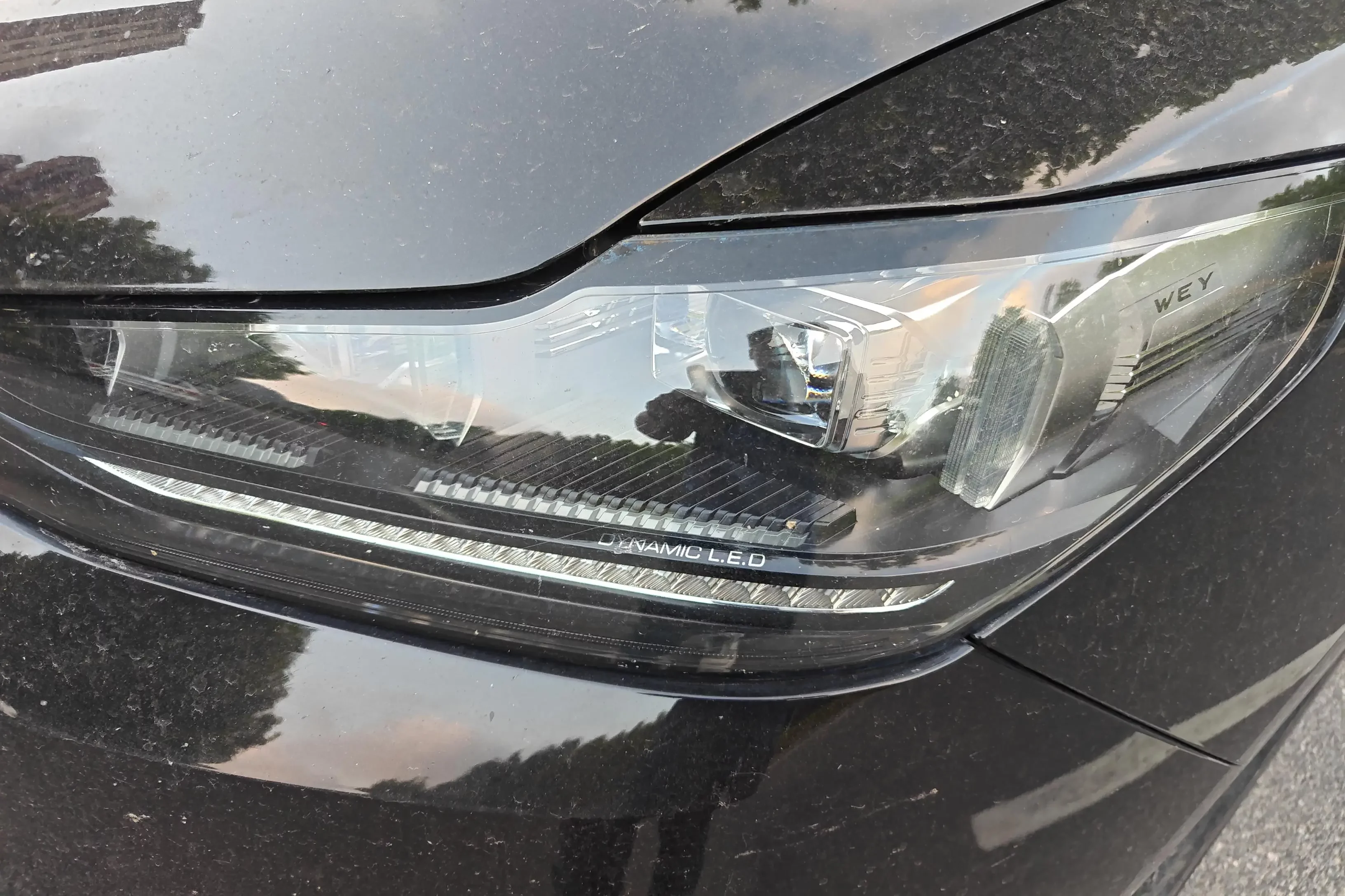 Wey Wei brand VV6