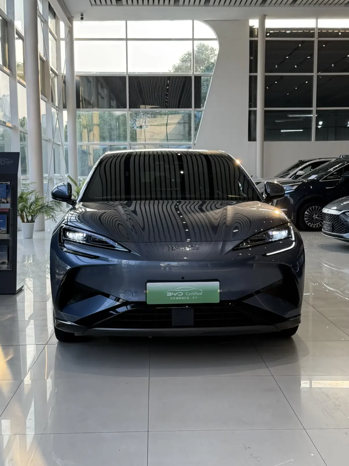 BYD Sea Lion 07EV