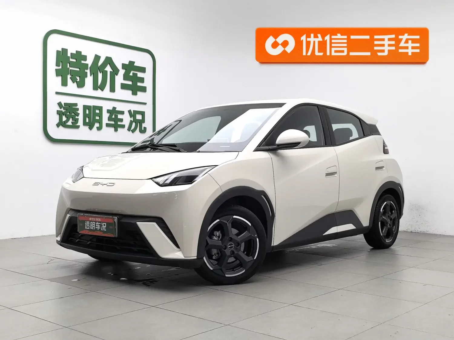 BYD seagull