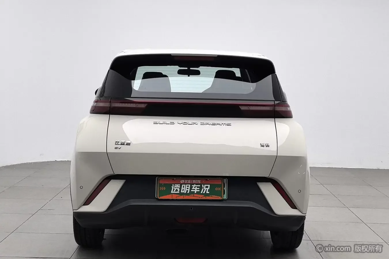 BYD seagull