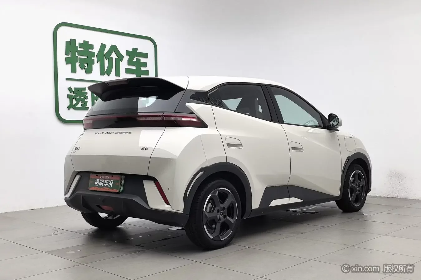 BYD seagull