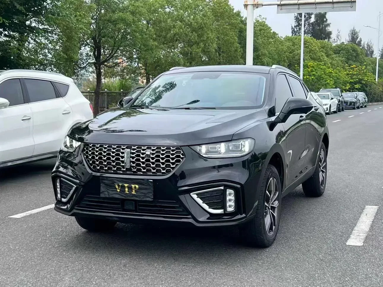 Wey Wei brand VV5