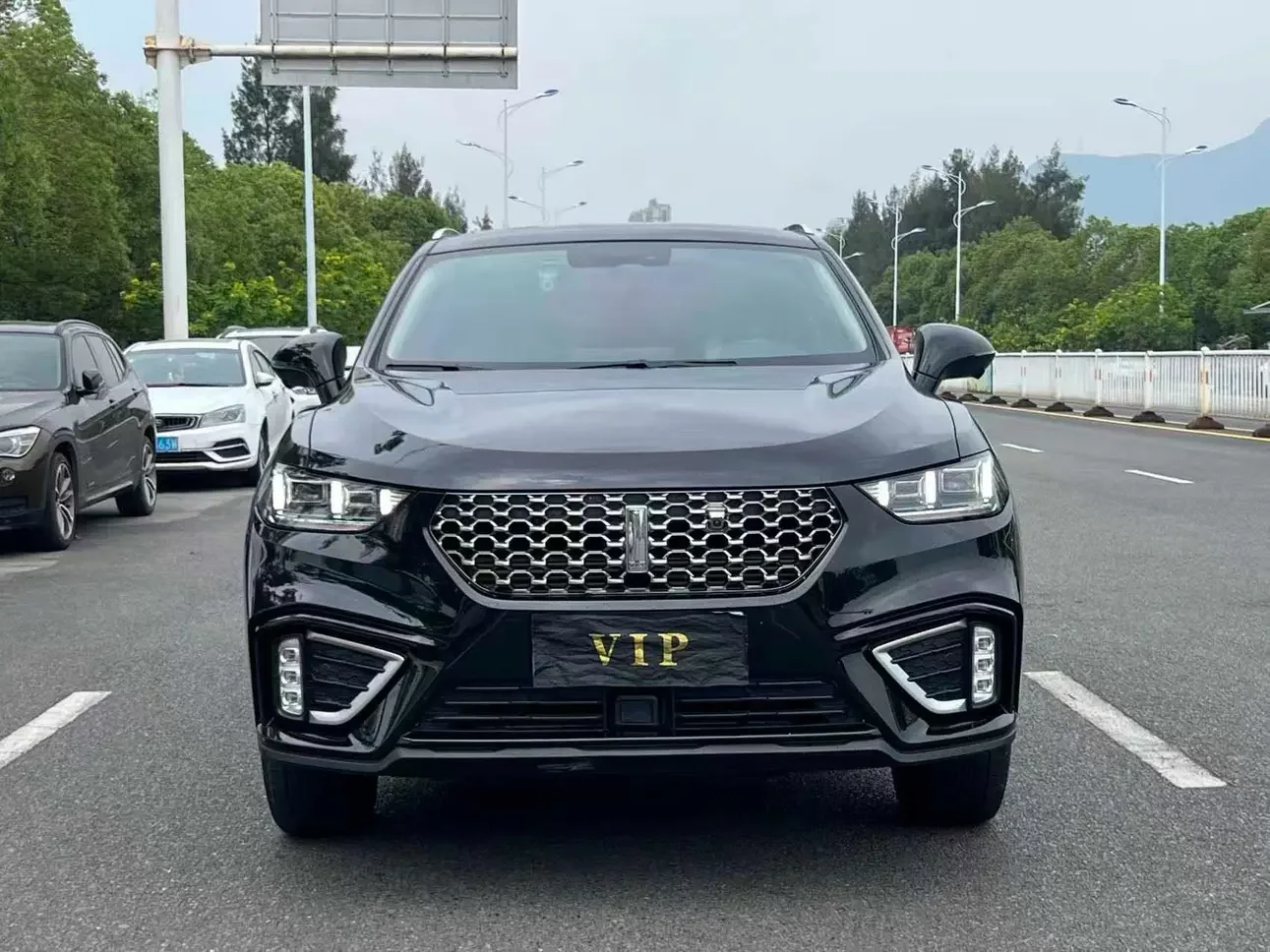 Wey Wei brand VV5