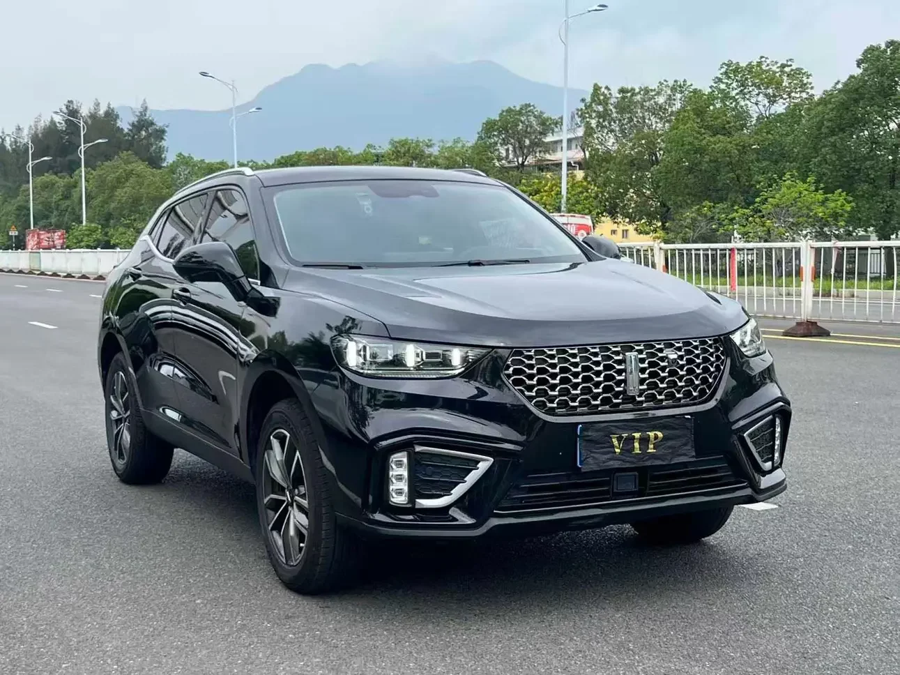Wey Wei brand VV5
