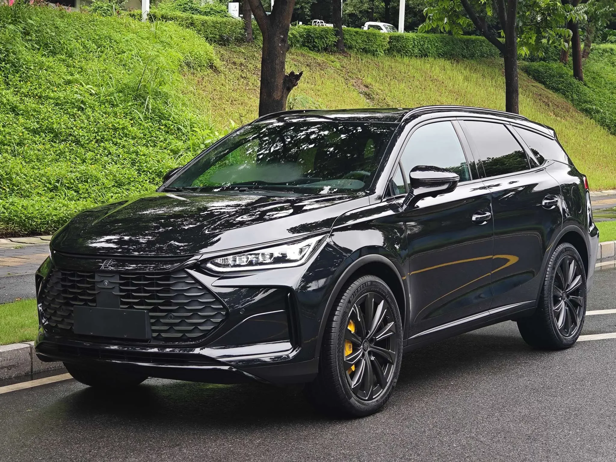BYD Tang DM