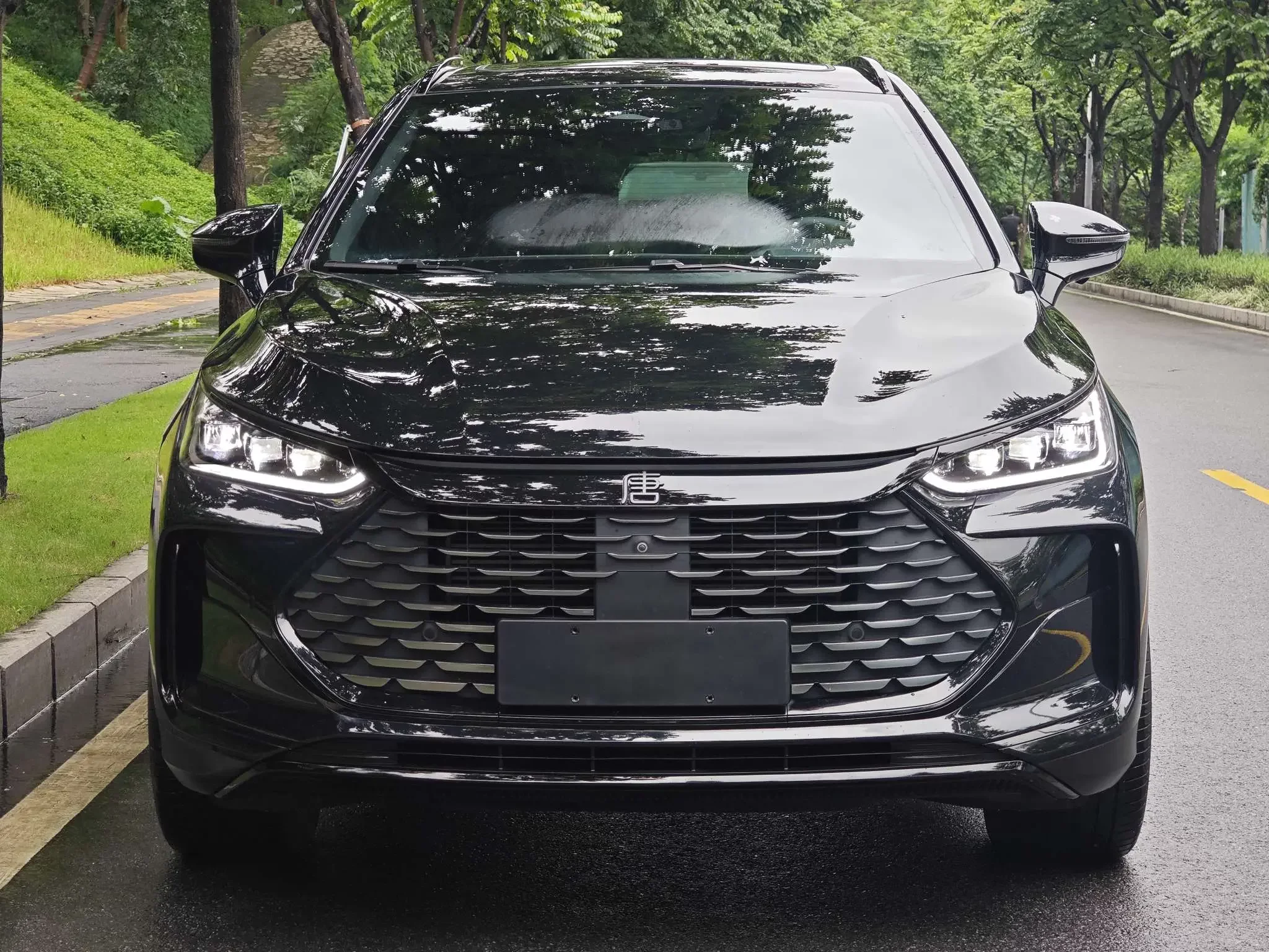 BYD Tang DM