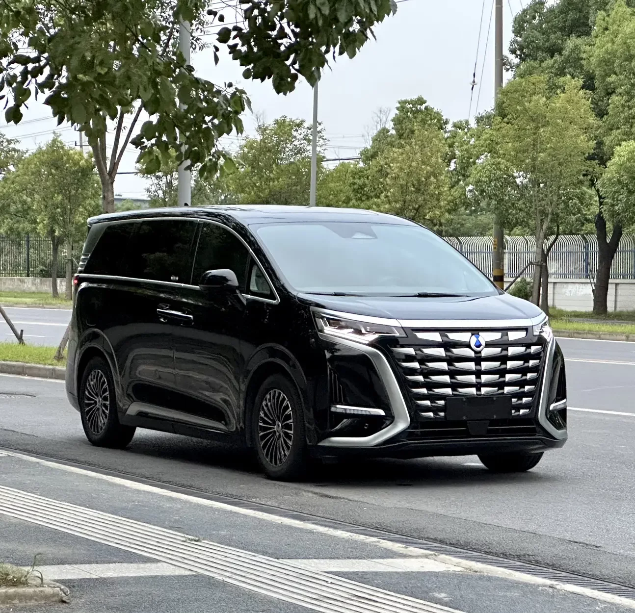 Denza D9 DM