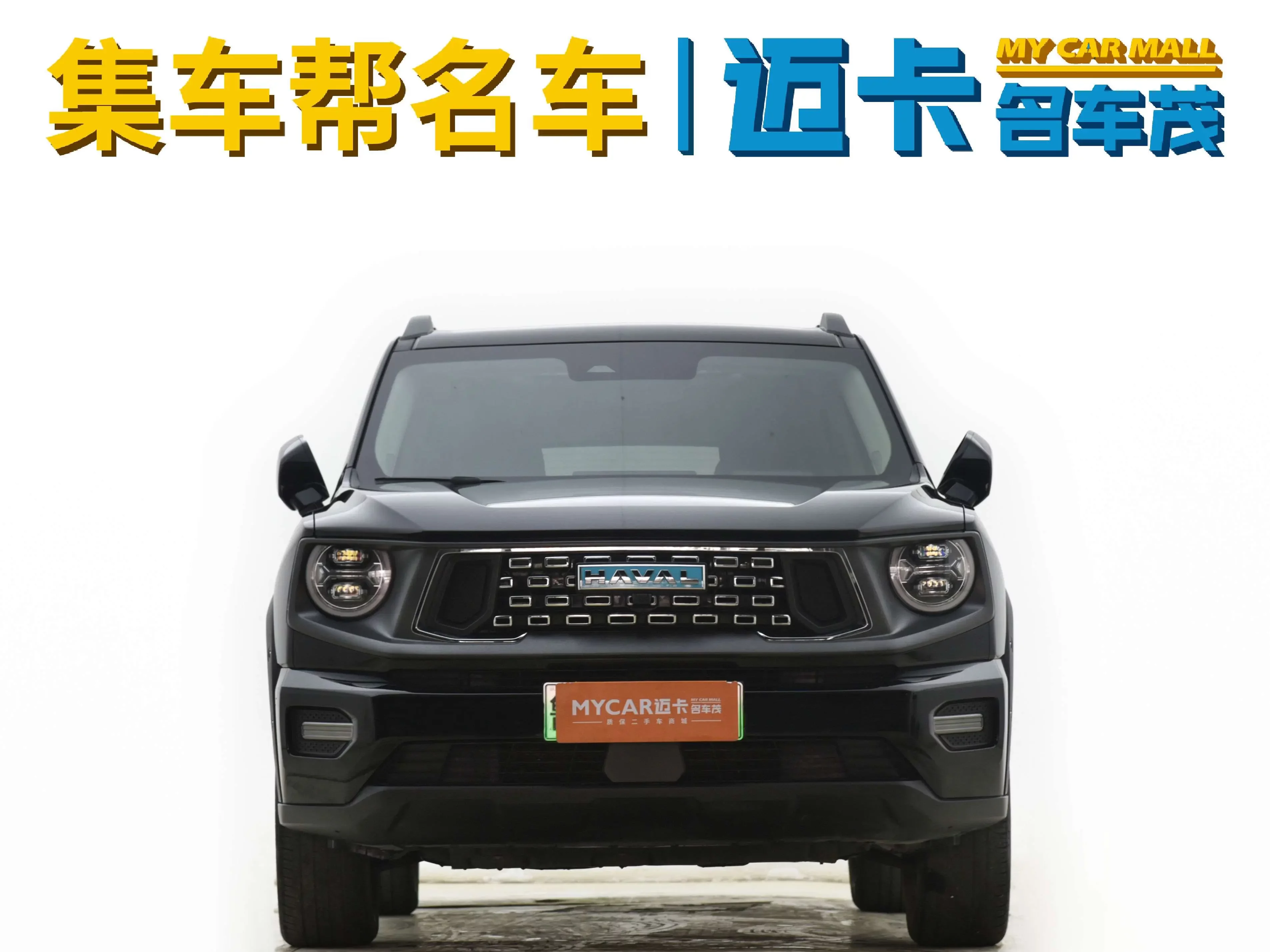 Haval Big Dog PLUS PHEV  из Китая