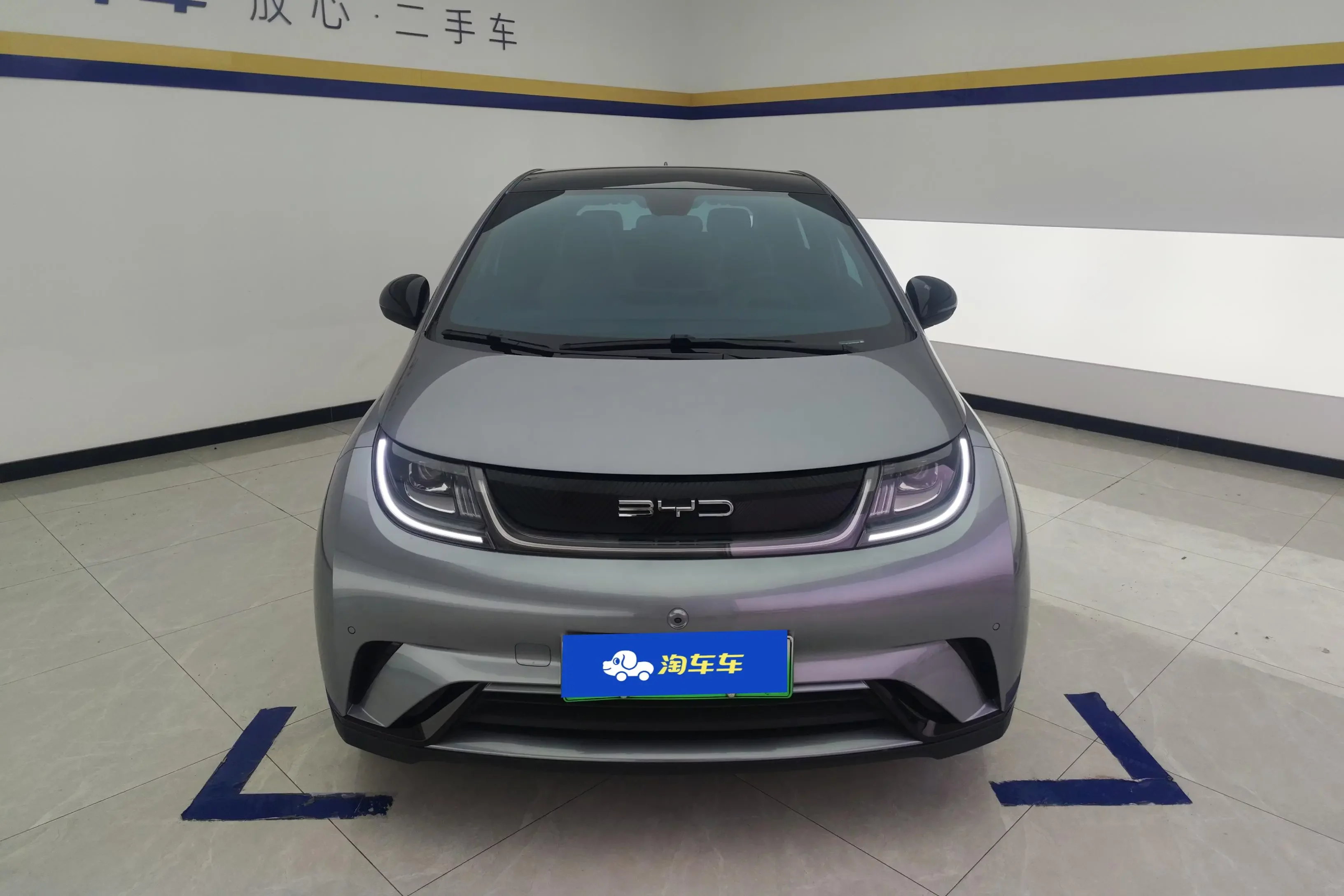 BYD dolphin