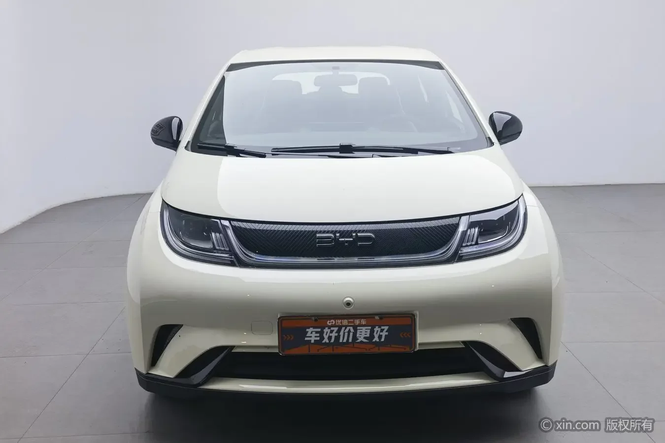BYD dolphin