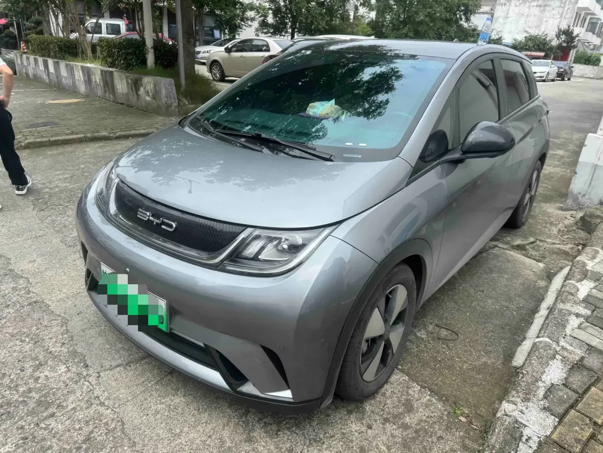BYD dolphin
