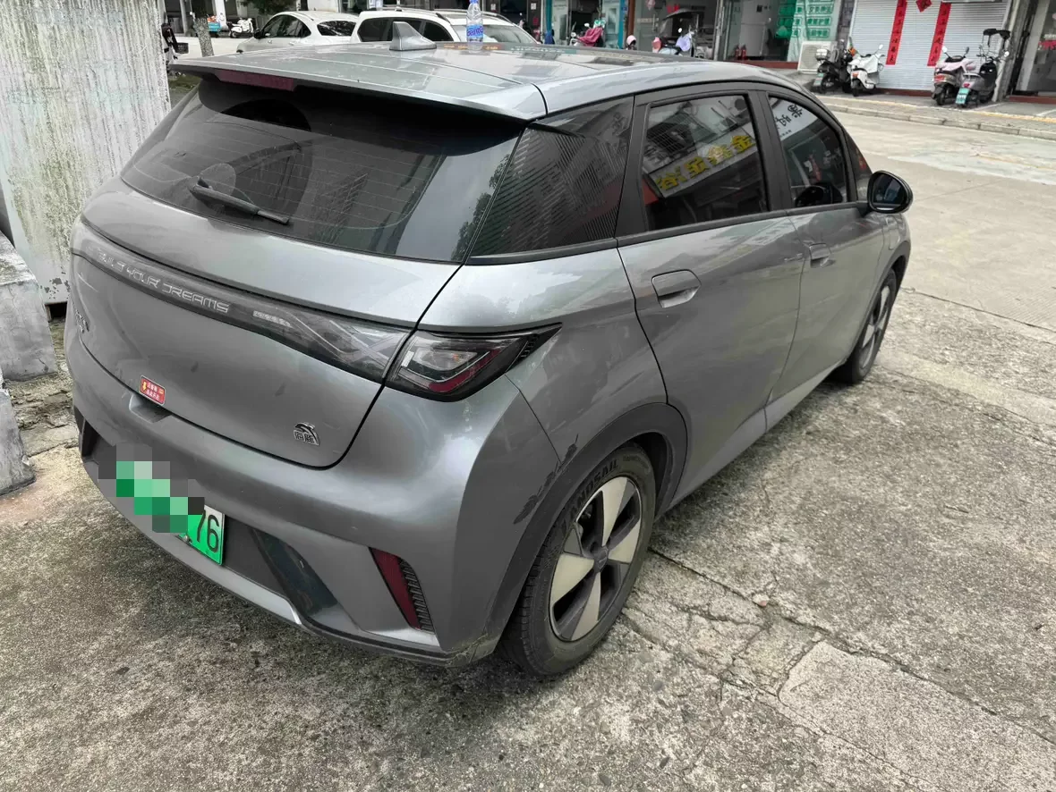 BYD dolphin