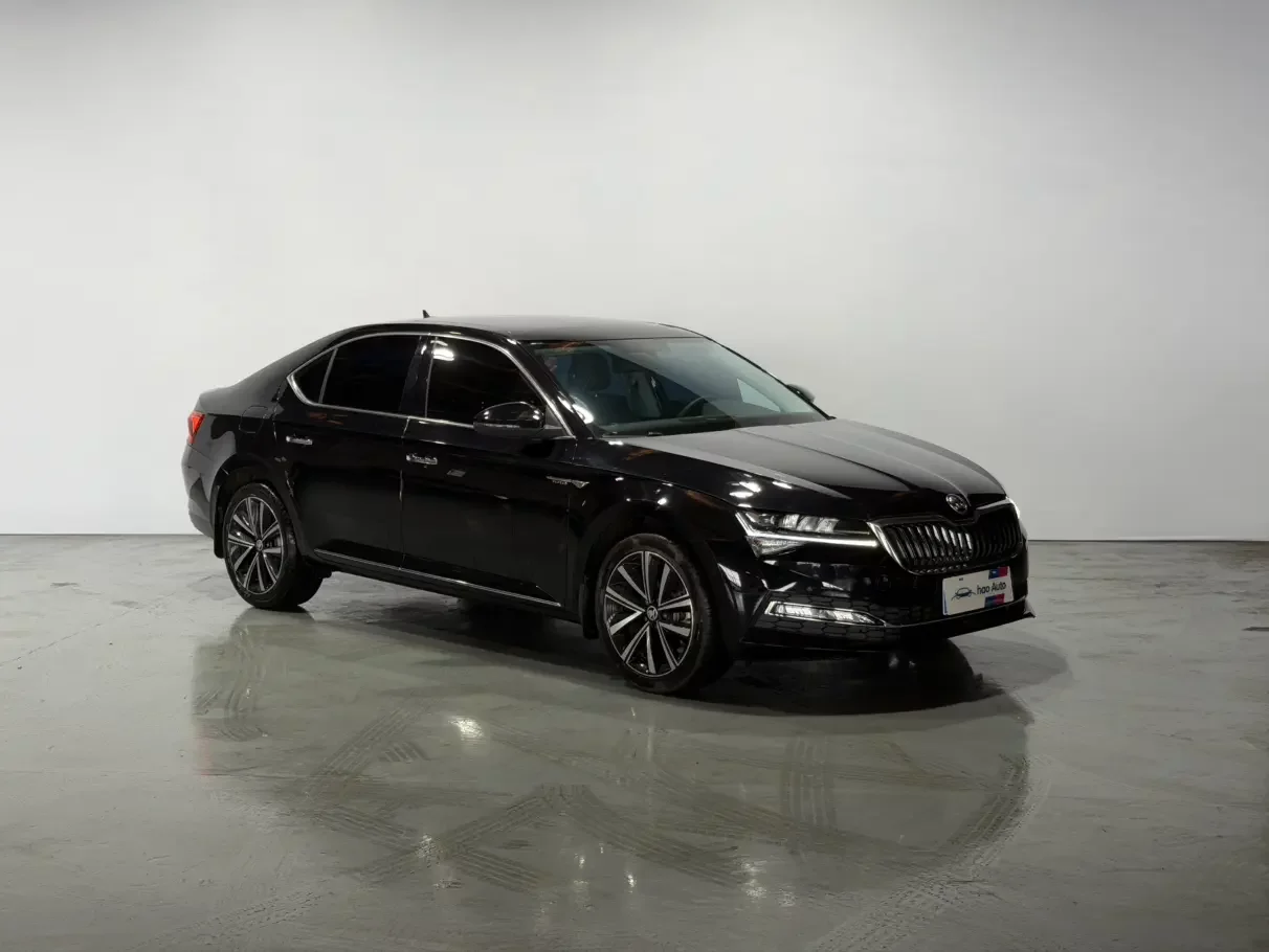 Skoda Speedy