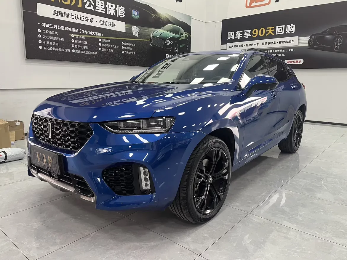 Wey Wei brand VV7