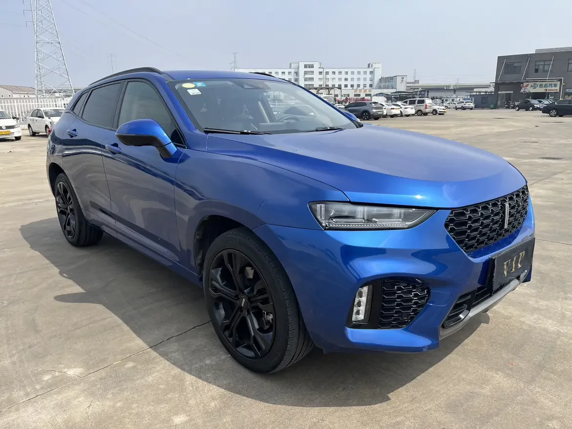 Wey Wei brand VV7