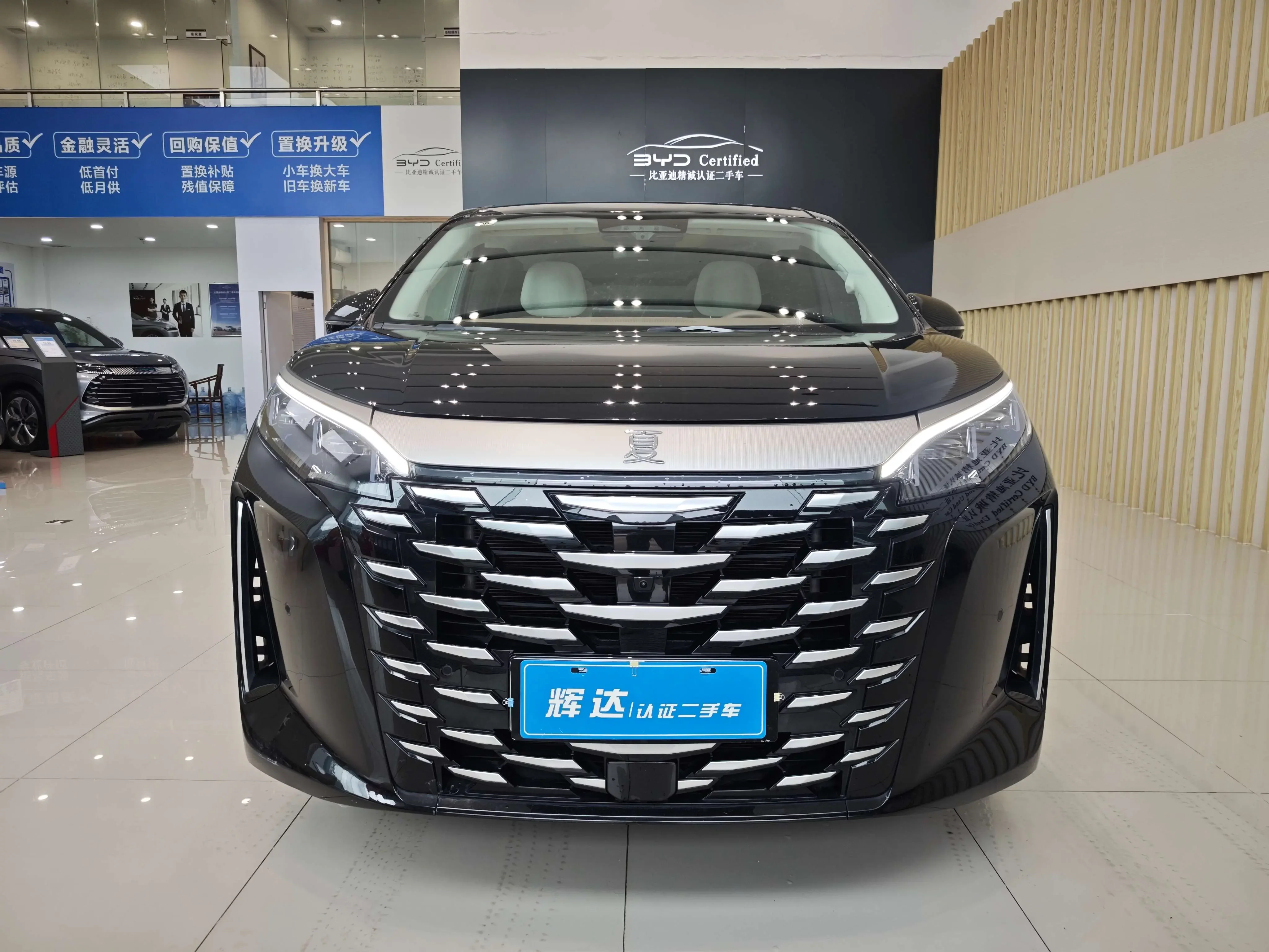 BYD summer