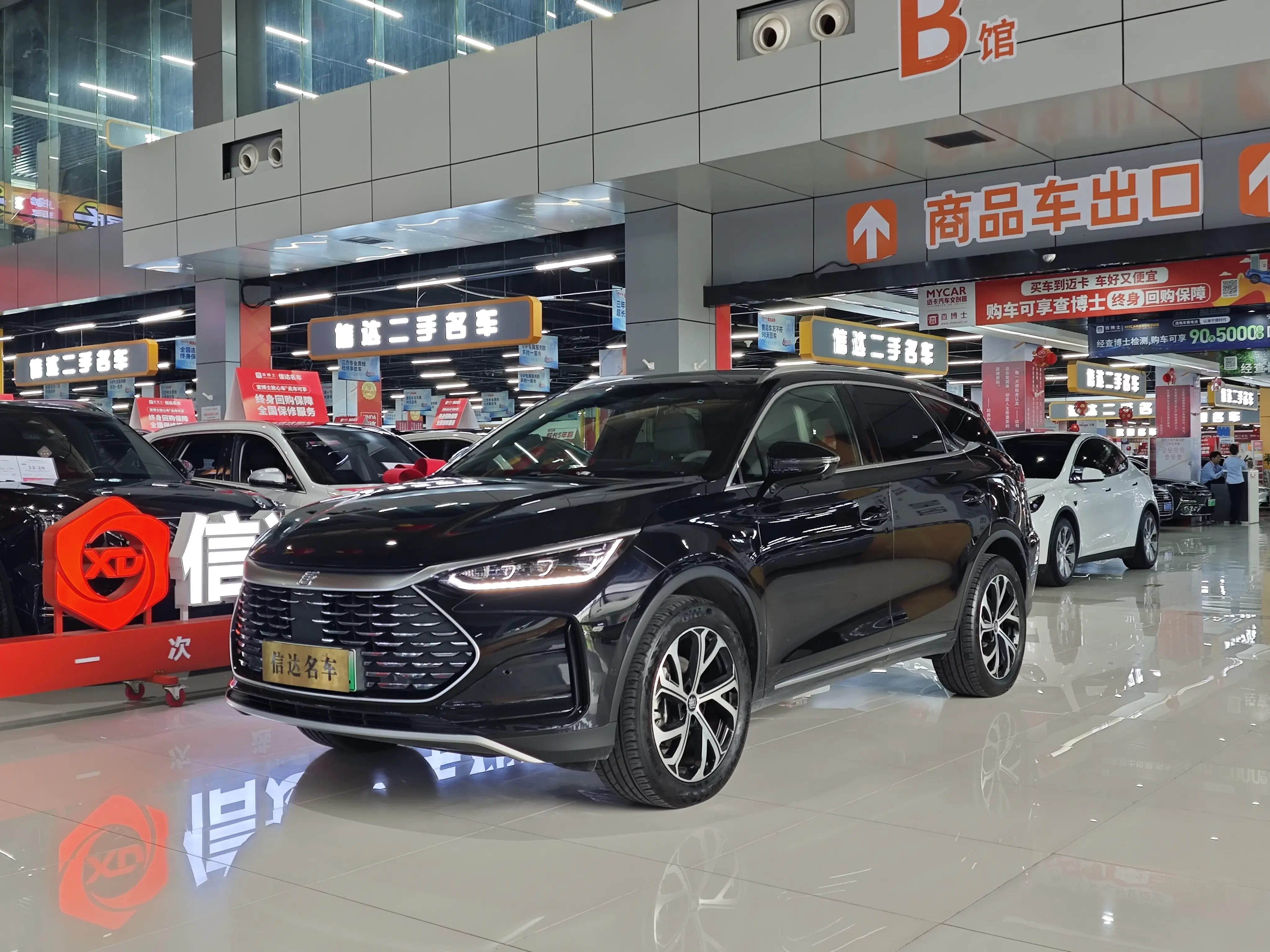 BYD Tang DM
