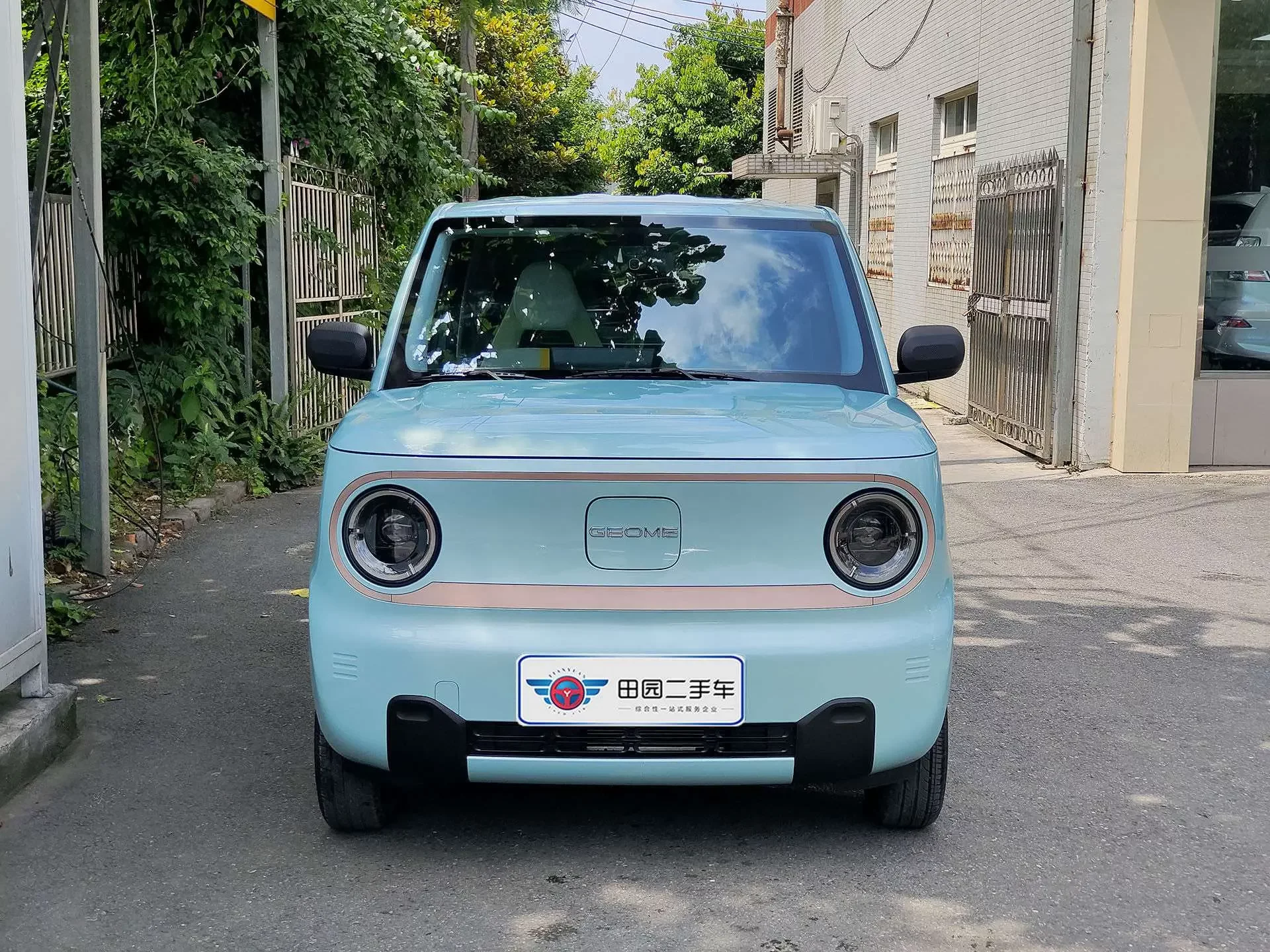Geely panda