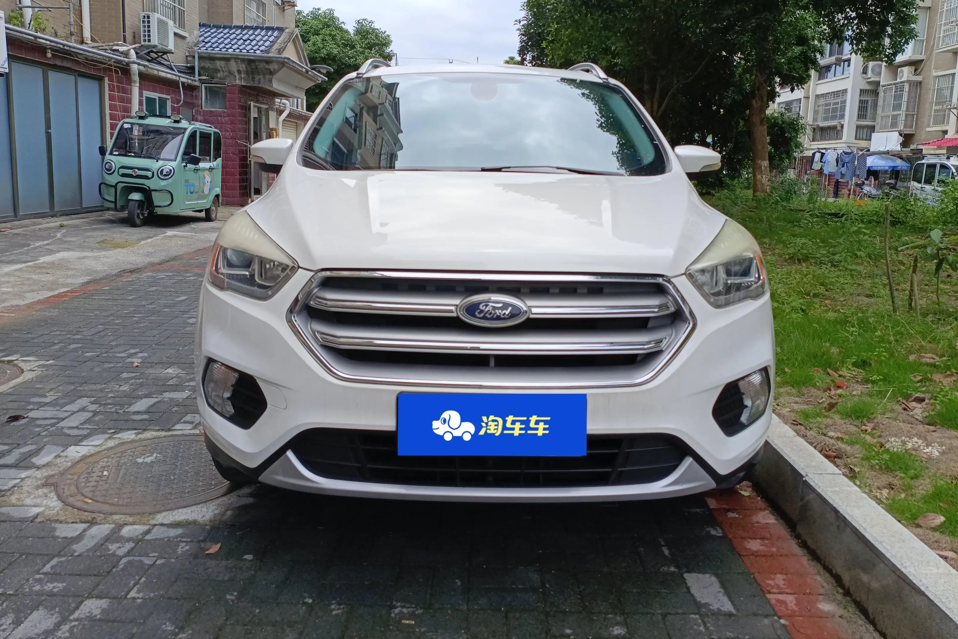 Ford wing tiger