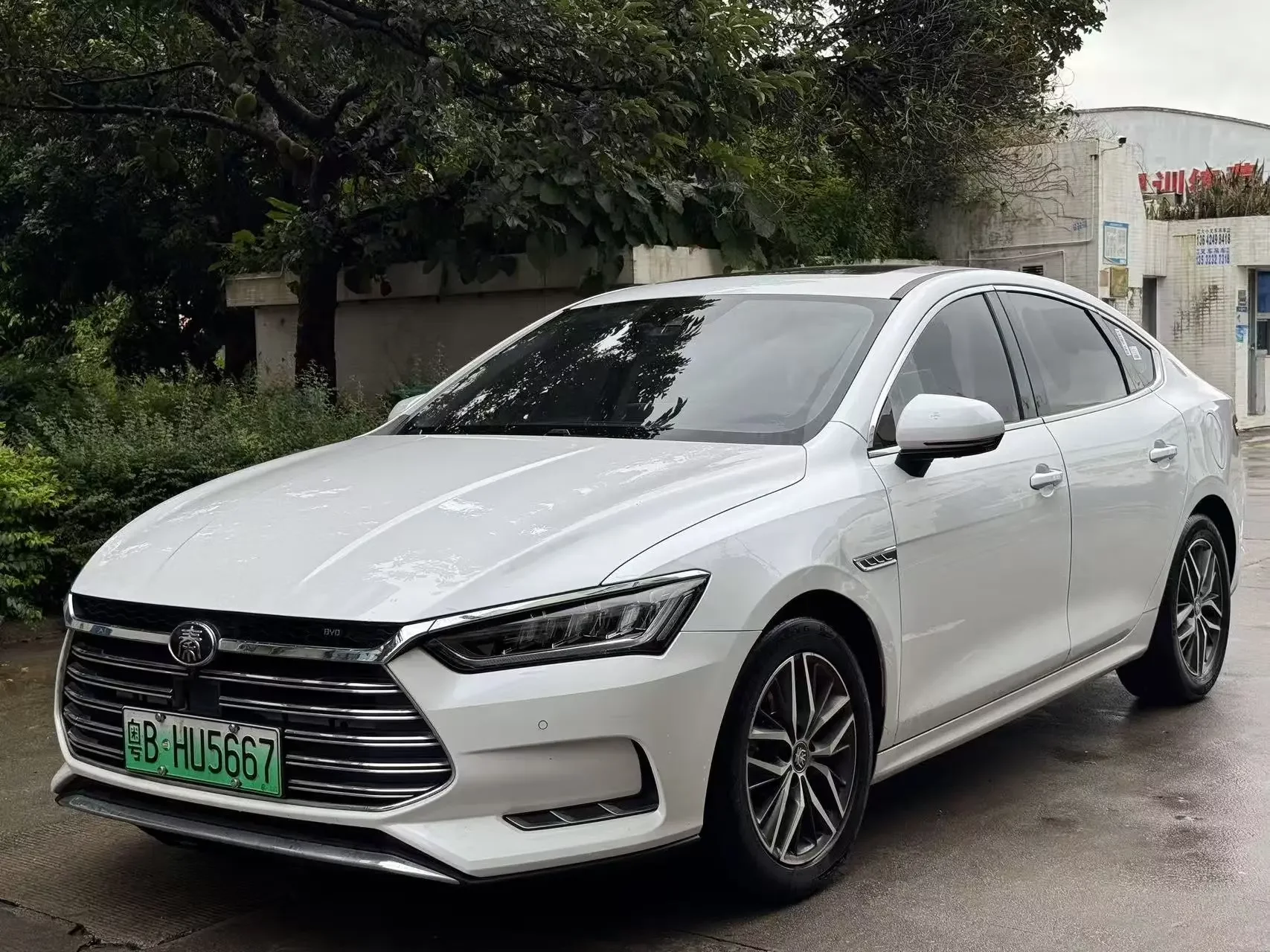 BYD Qin Pro DM