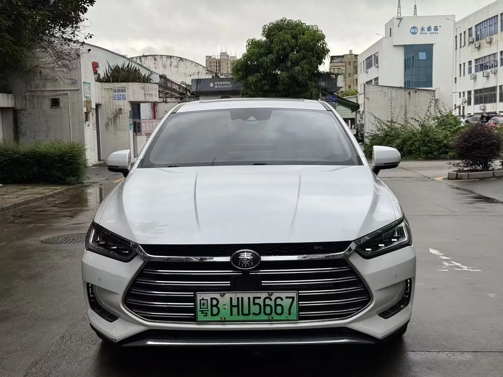 BYD Qin Pro DM