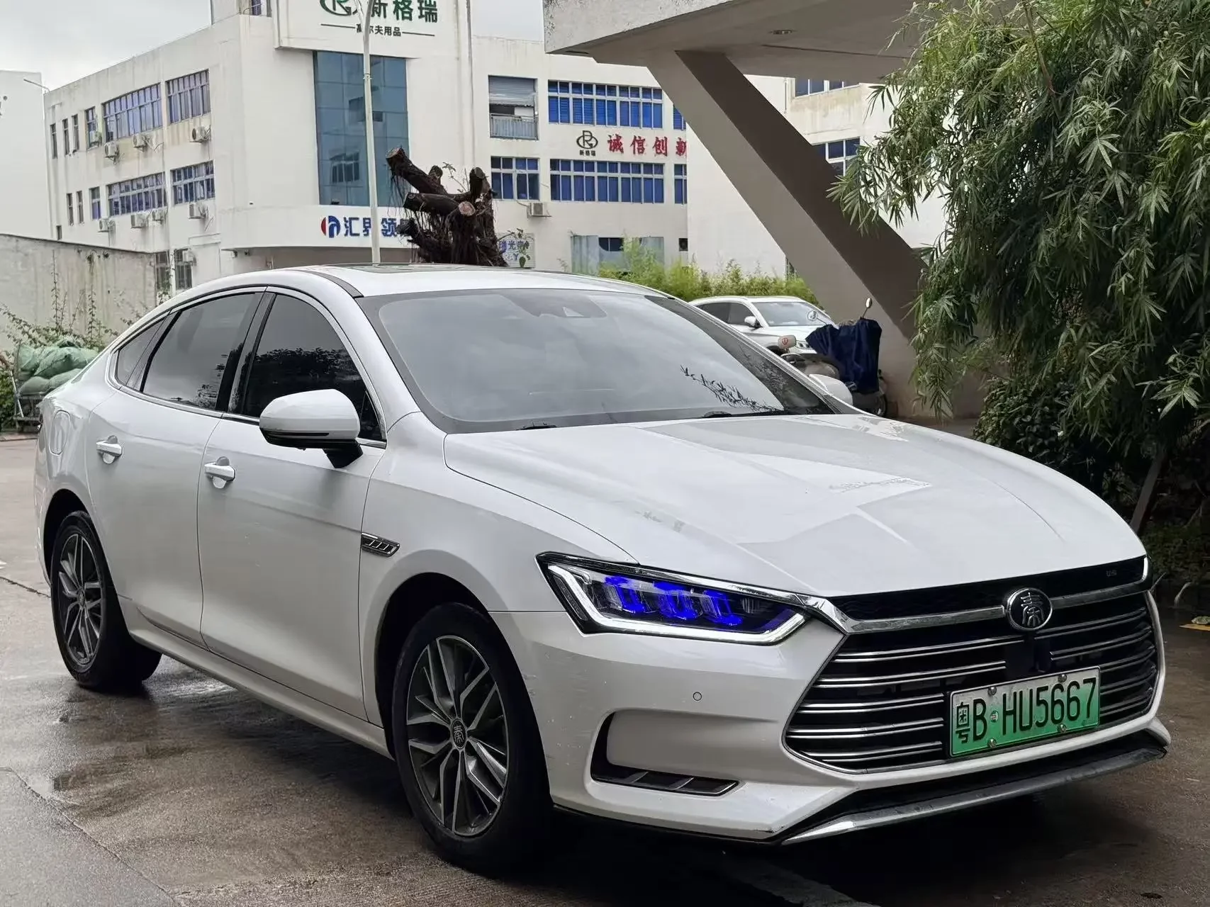 BYD Qin Pro DM