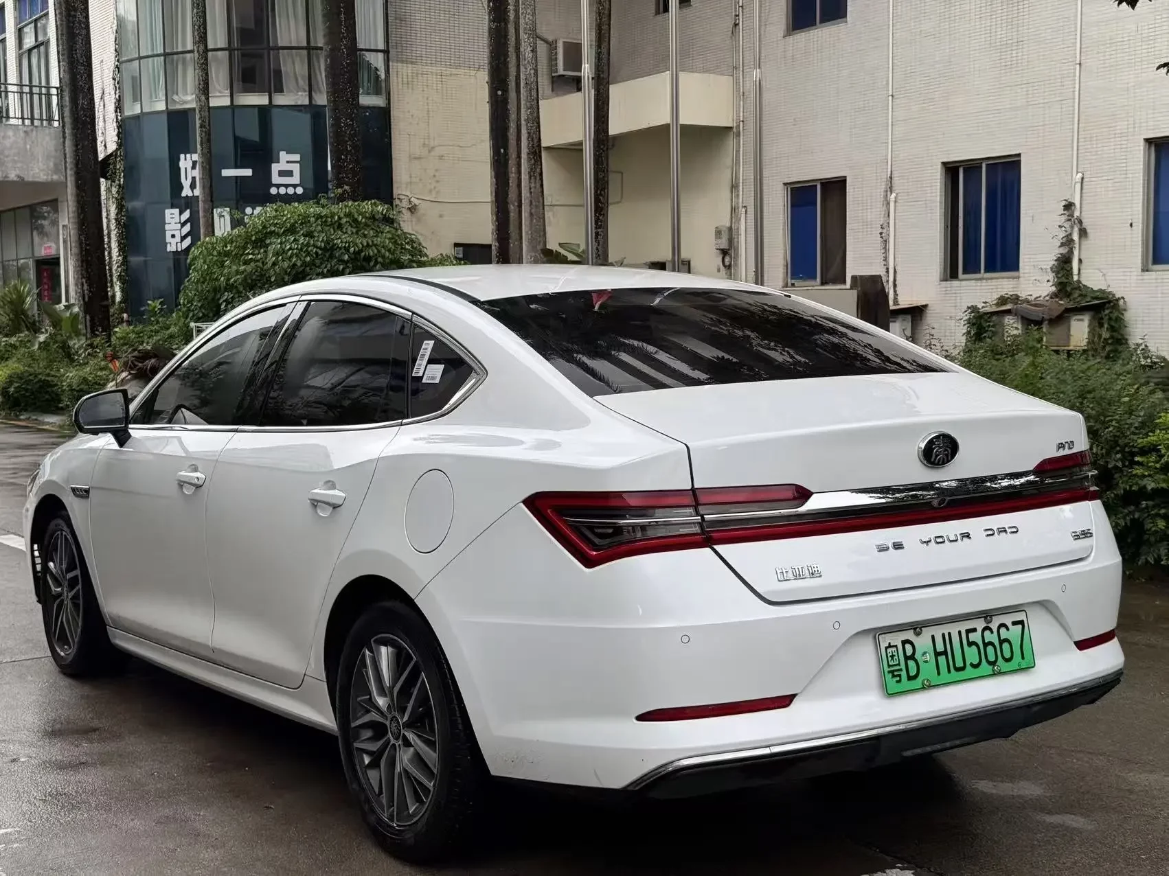 BYD Qin Pro DM