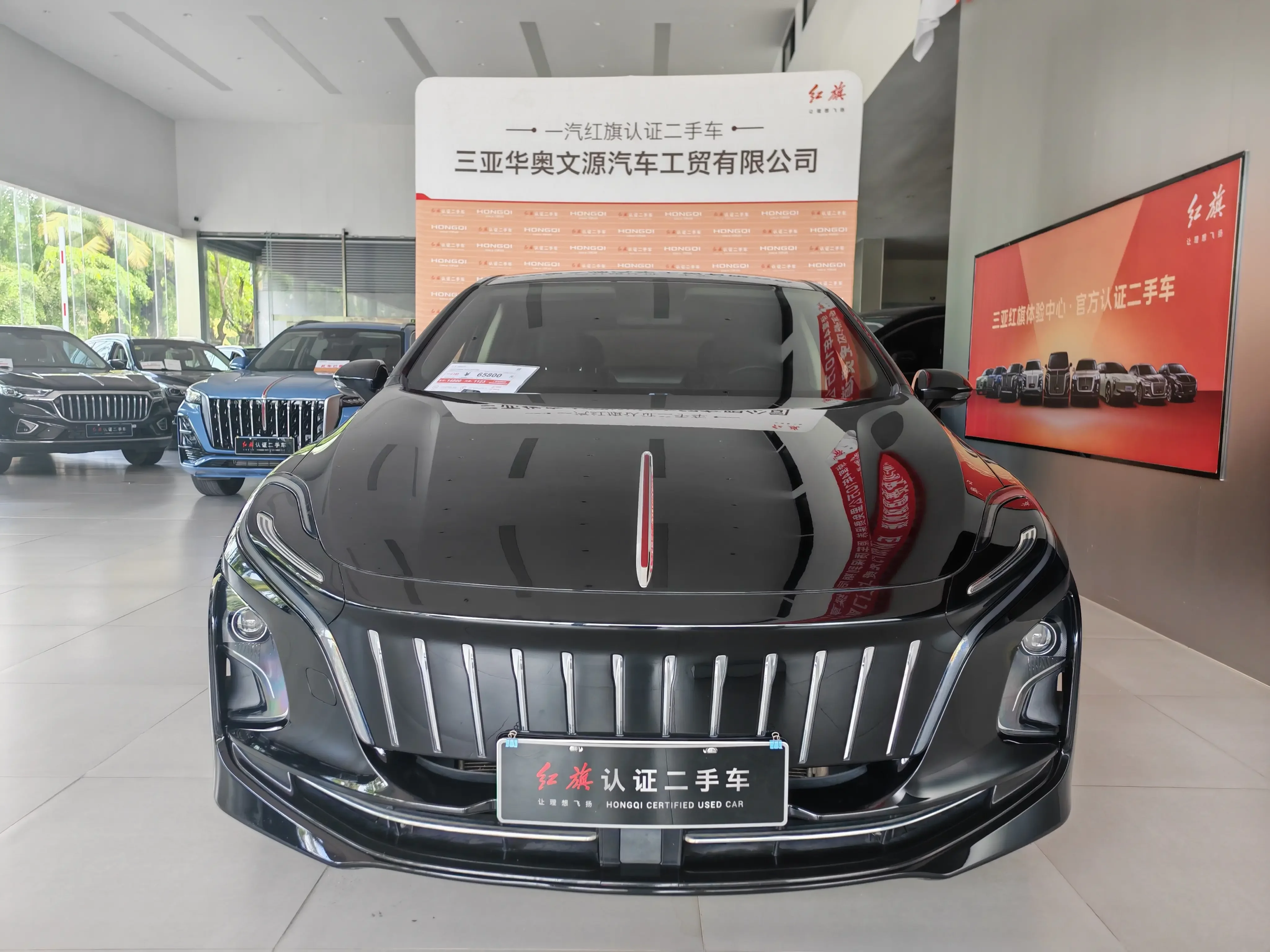 Hongqi E-QM5