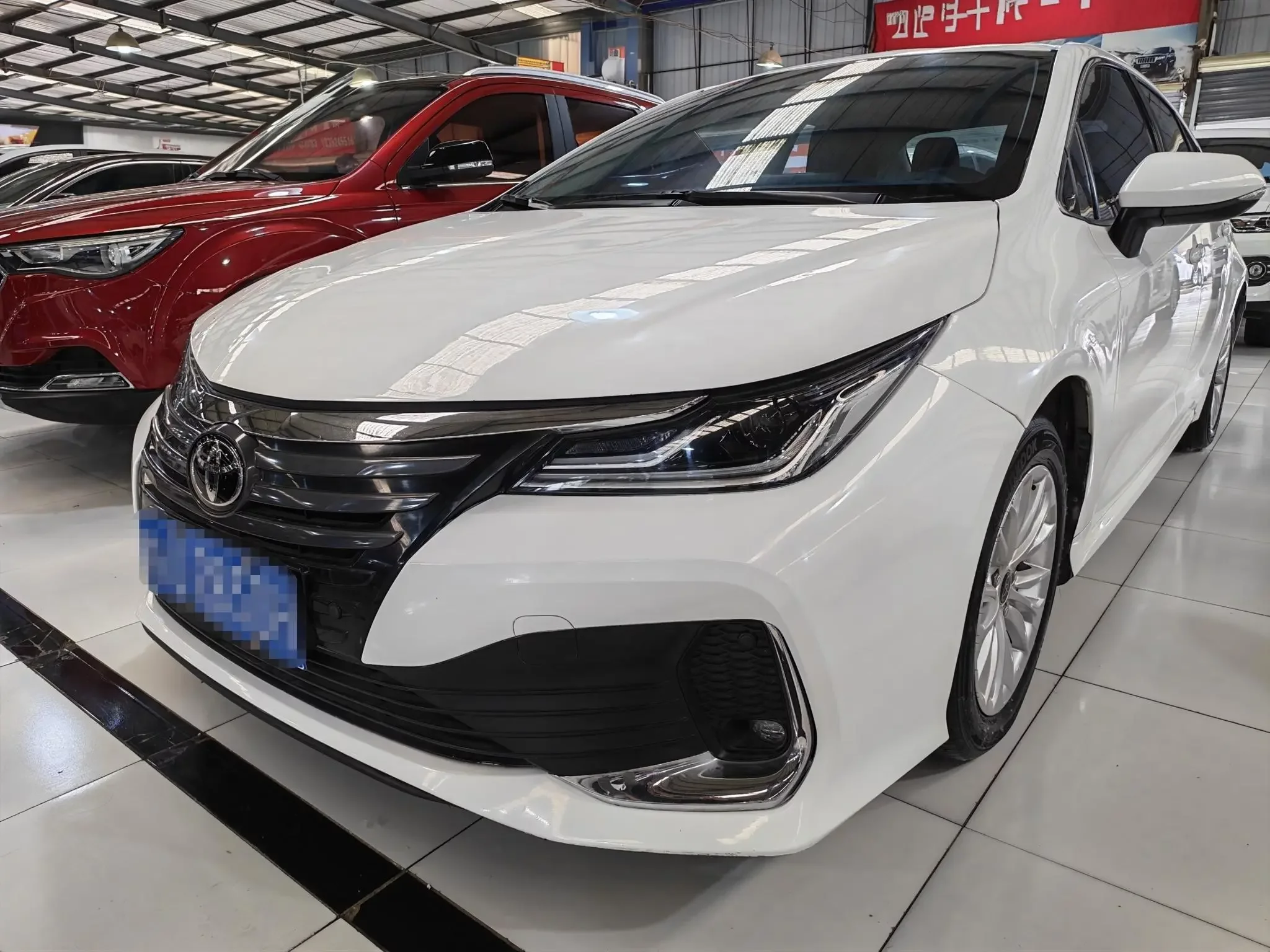Toyota Asiatic lion