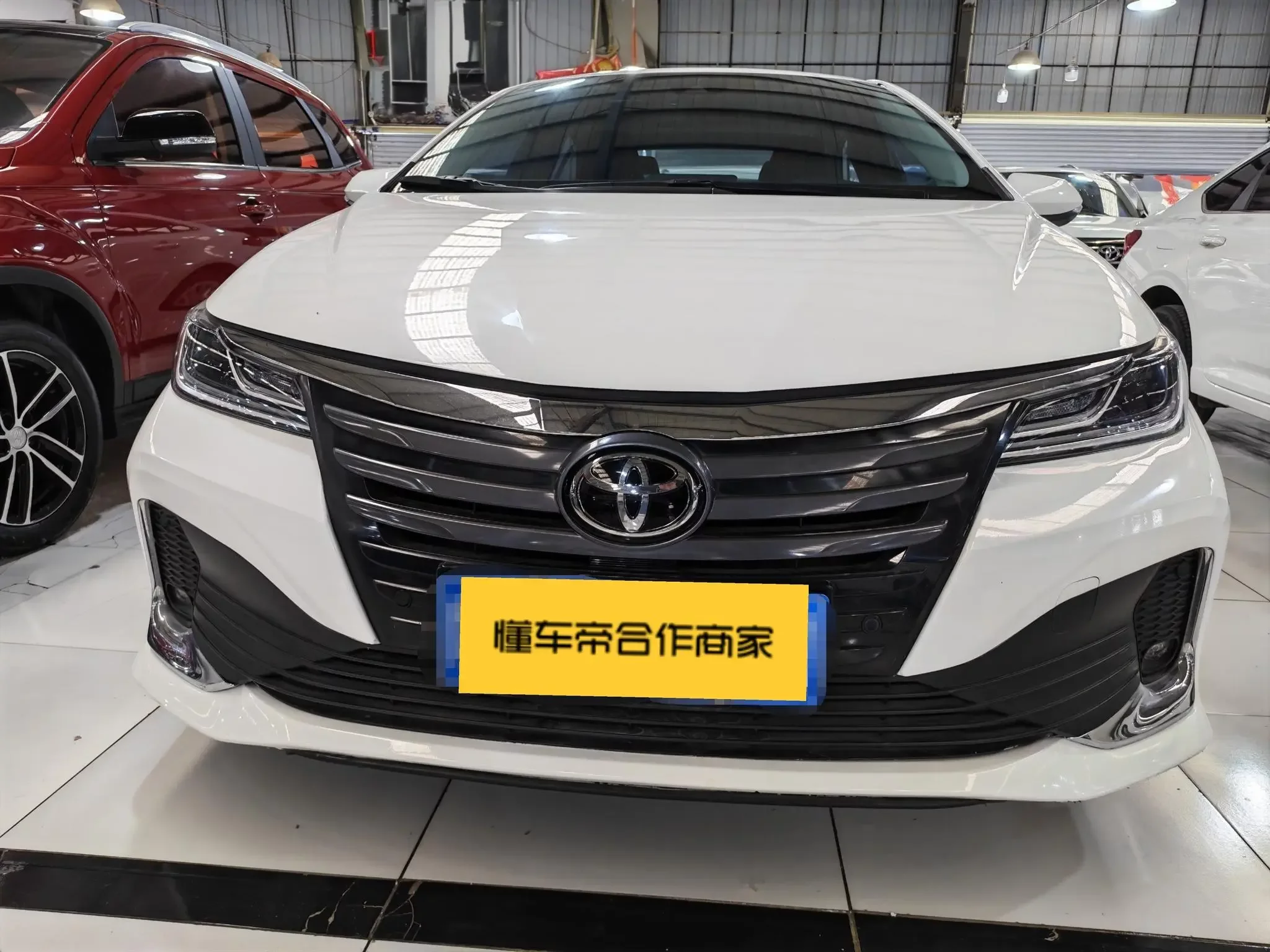 Toyota Asiatic lion