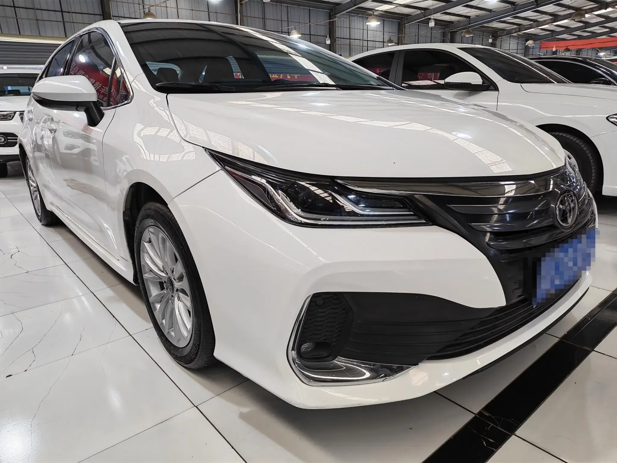 Toyota Asiatic lion