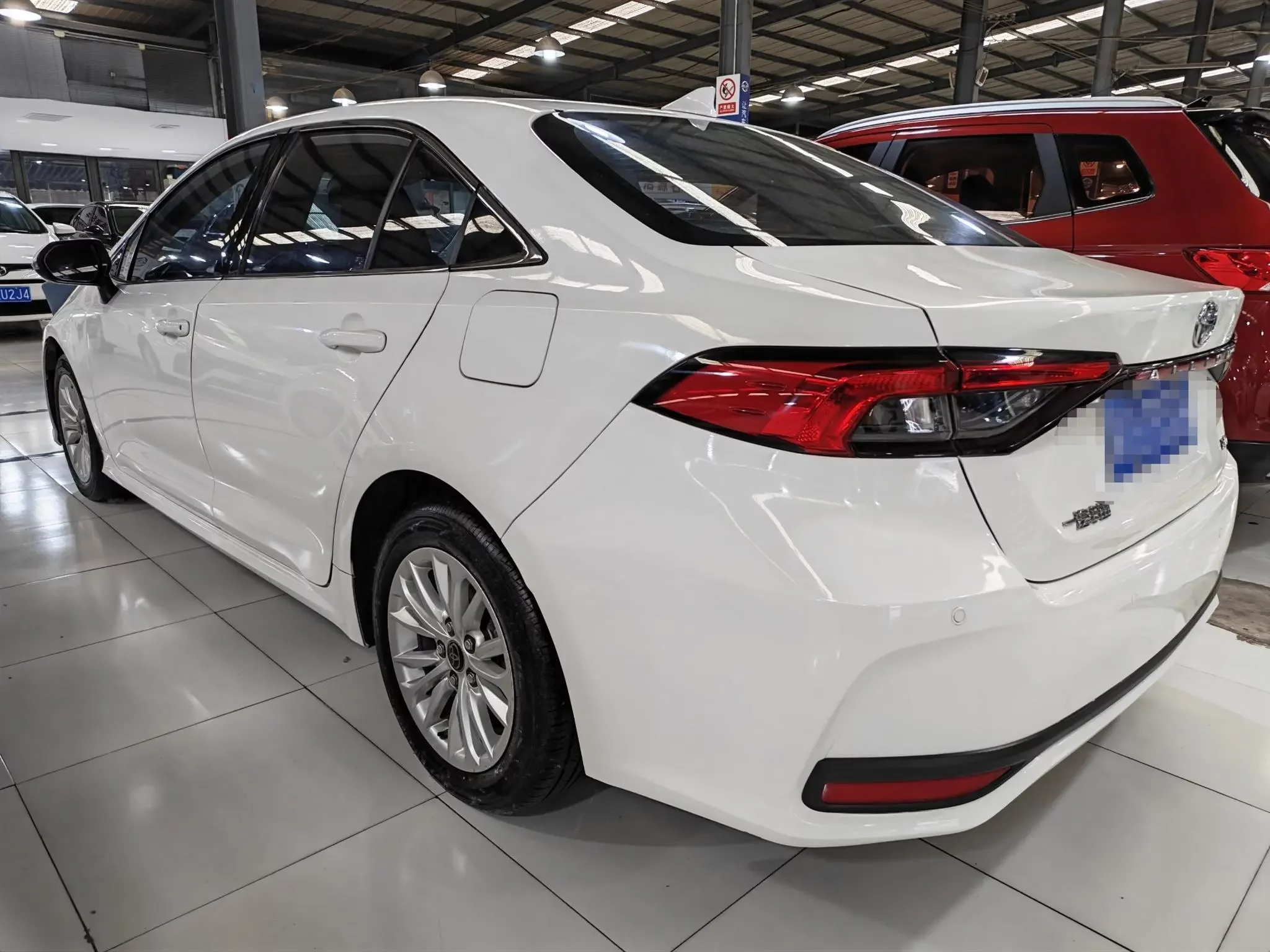 Toyota Asiatic lion