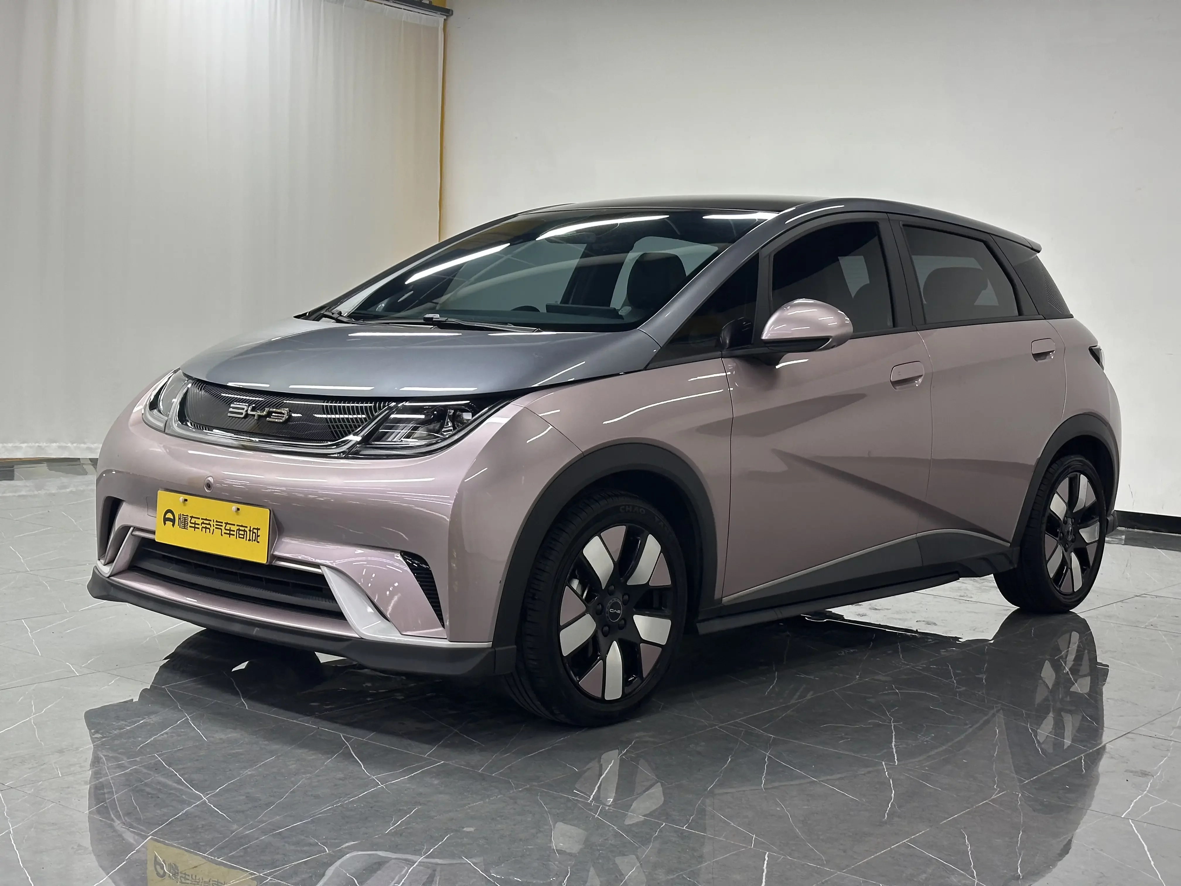 BYD dolphin