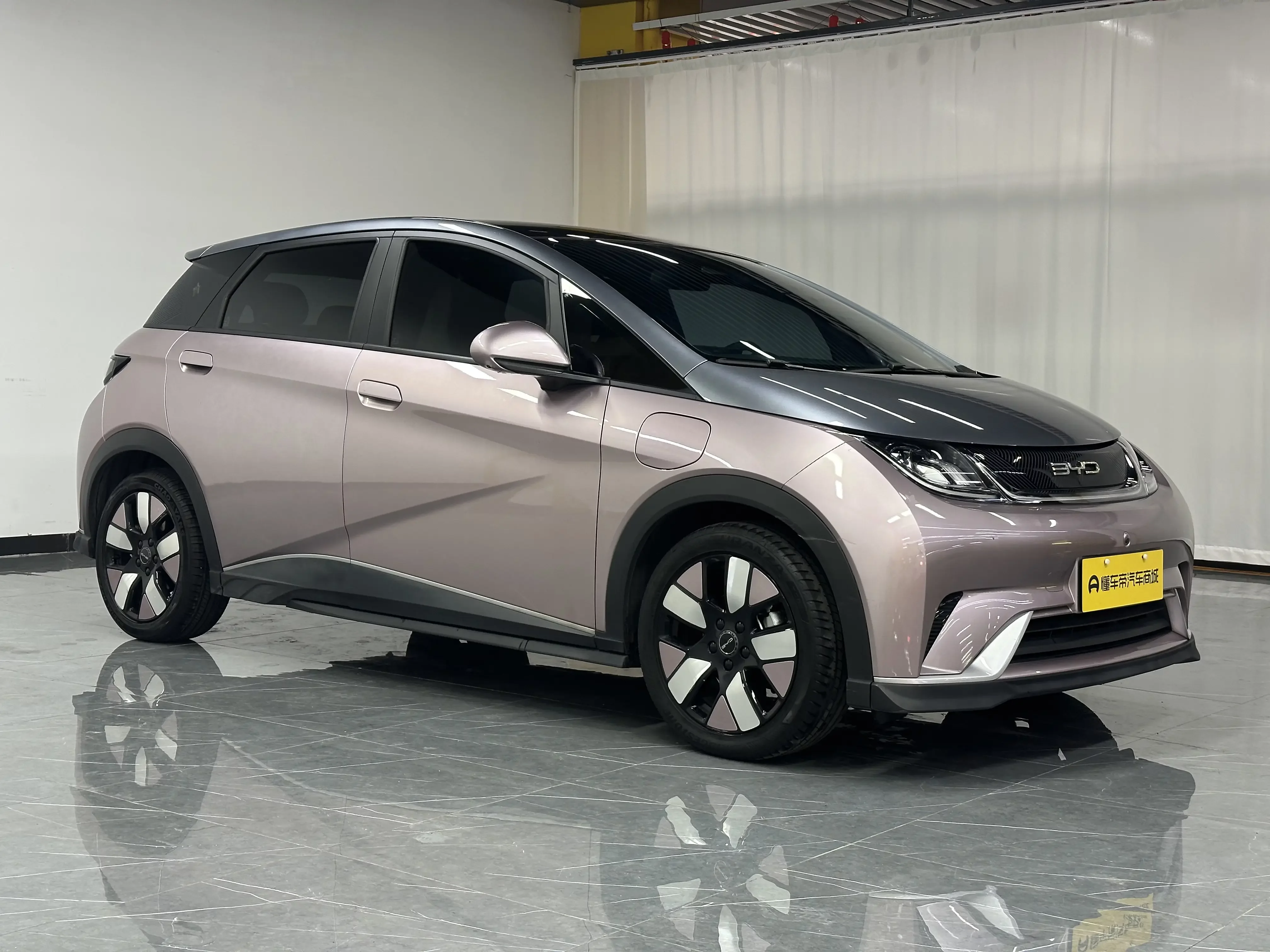 BYD dolphin