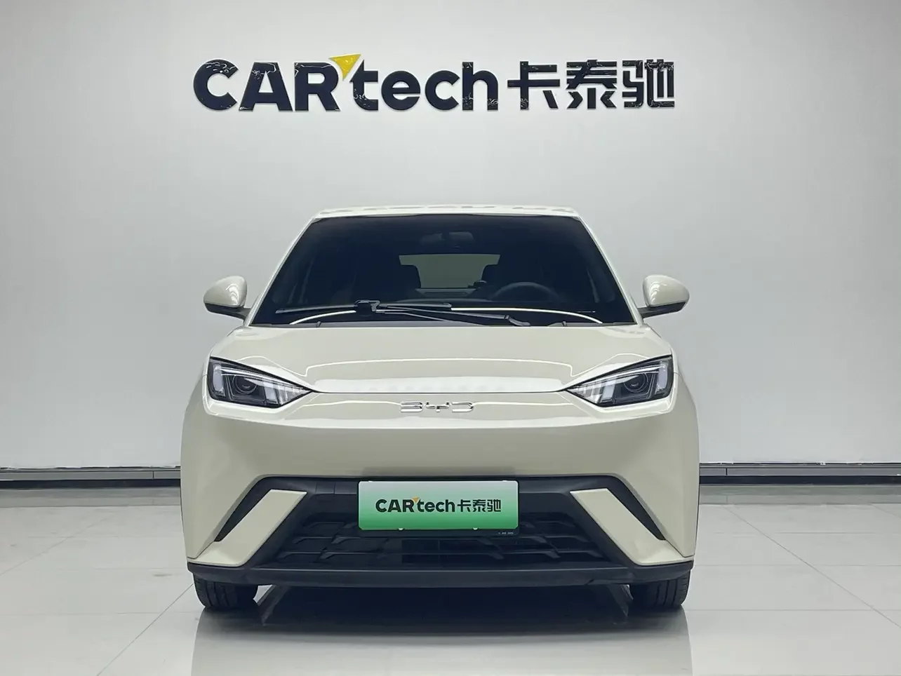 BYD seagull