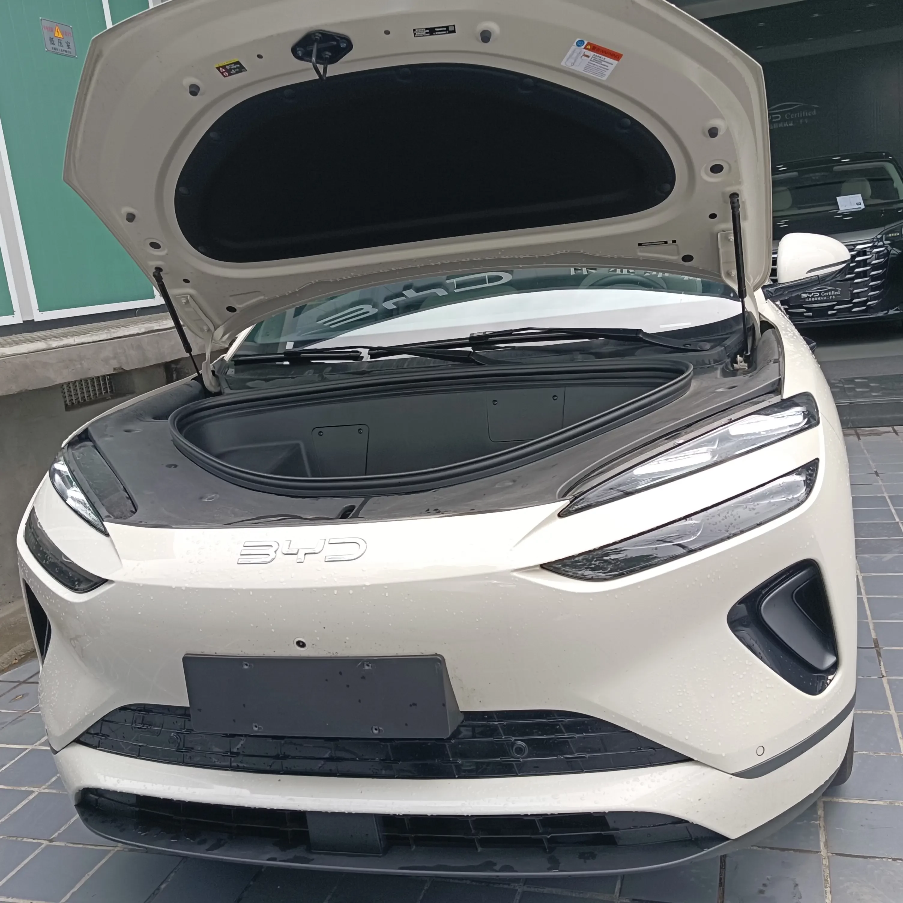 BYD Sea Lion 06EV